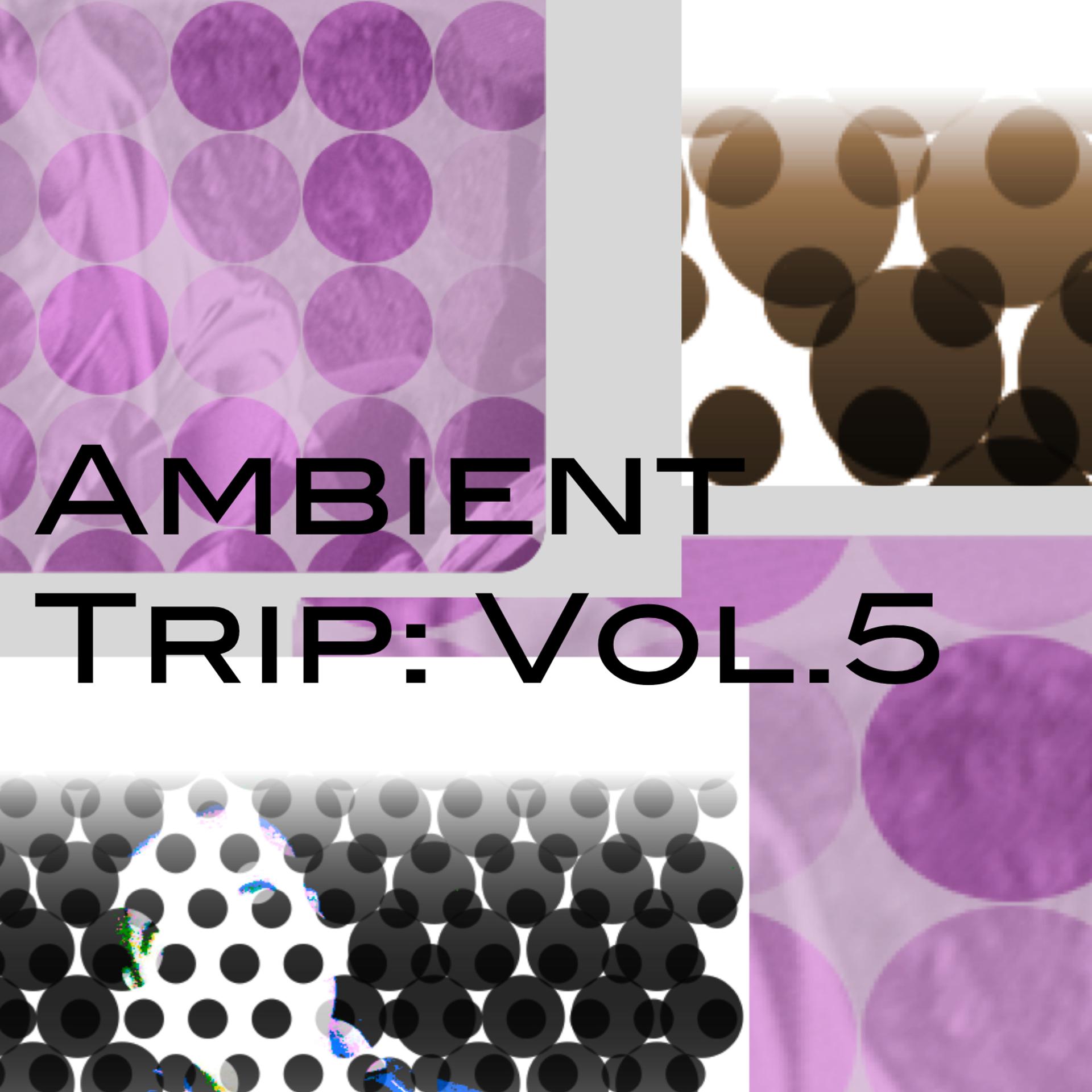 Постер альбома Ambient Trip: Vol.5
