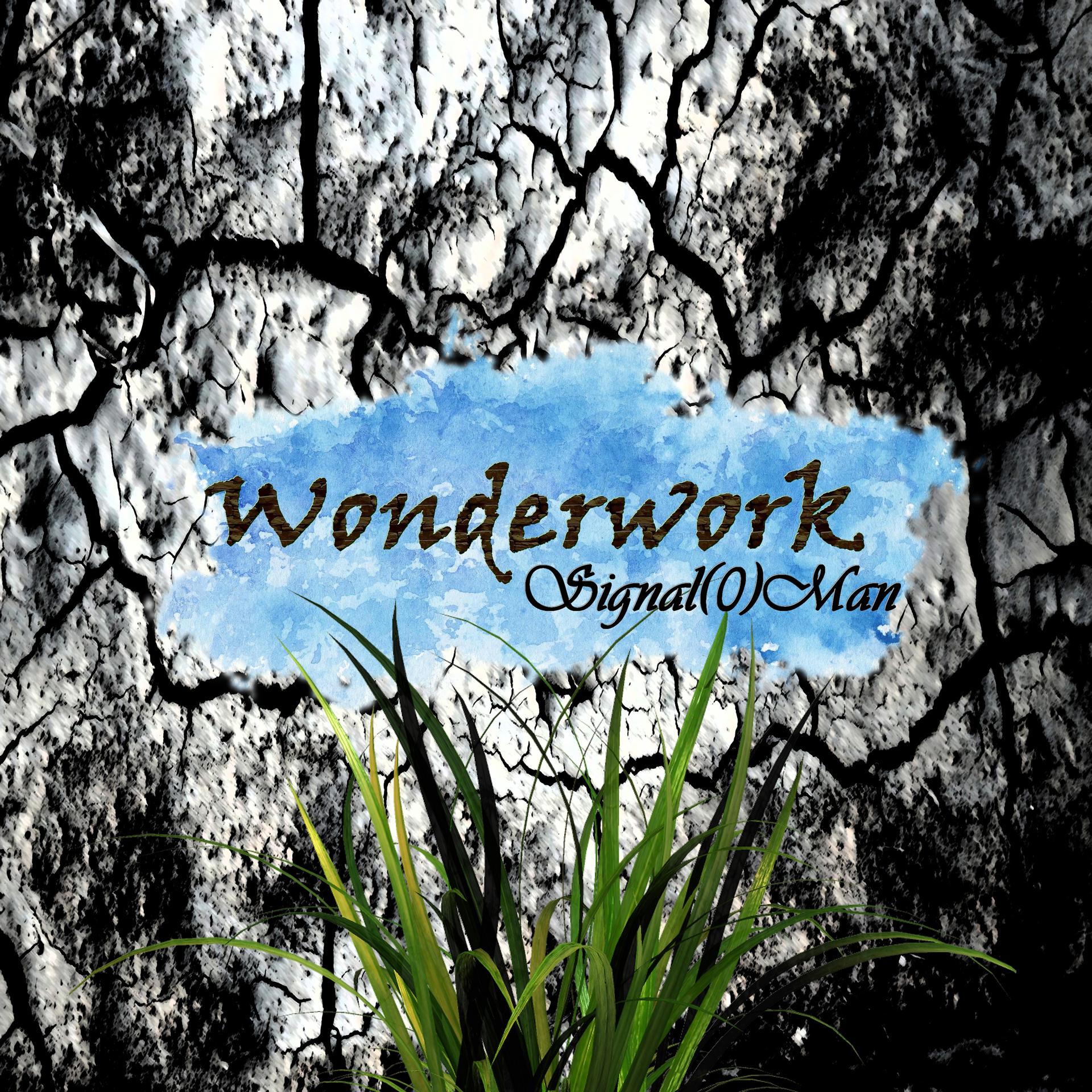 Постер альбома Wonderwork