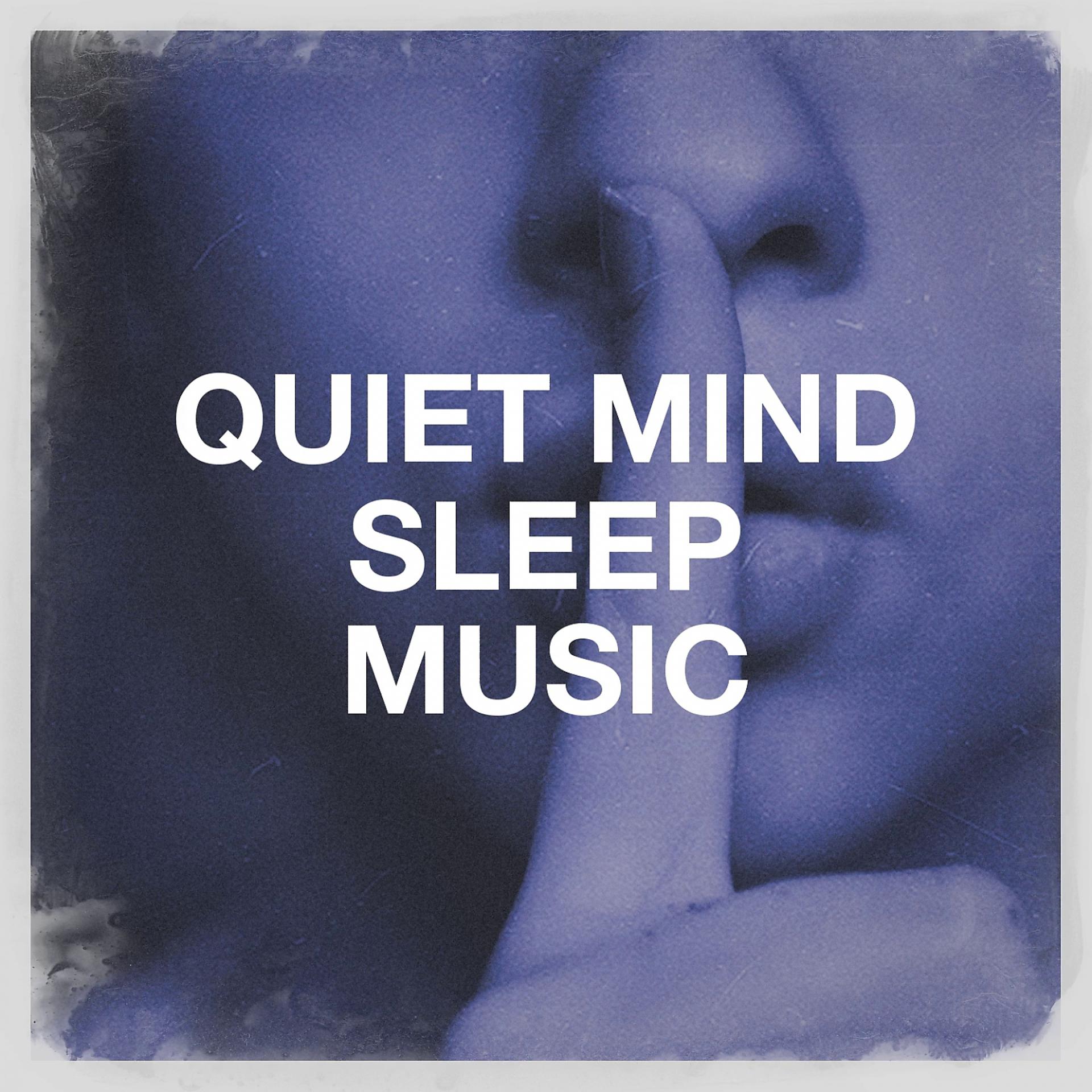 Постер альбома Quiet Mind Sleep Music