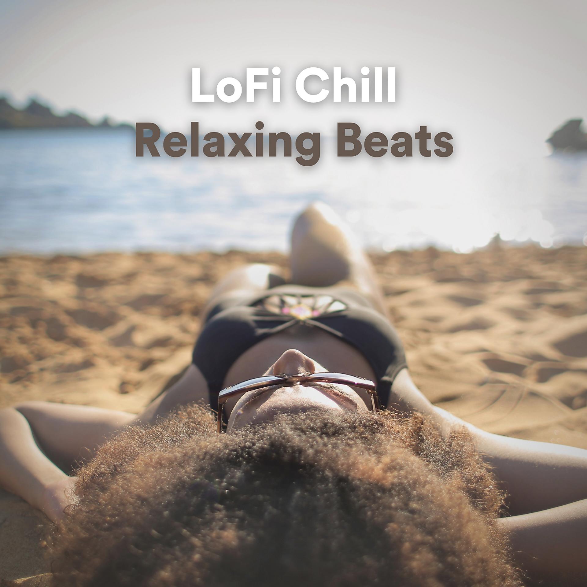 Постер альбома Lofi Chill Relaxing Beats