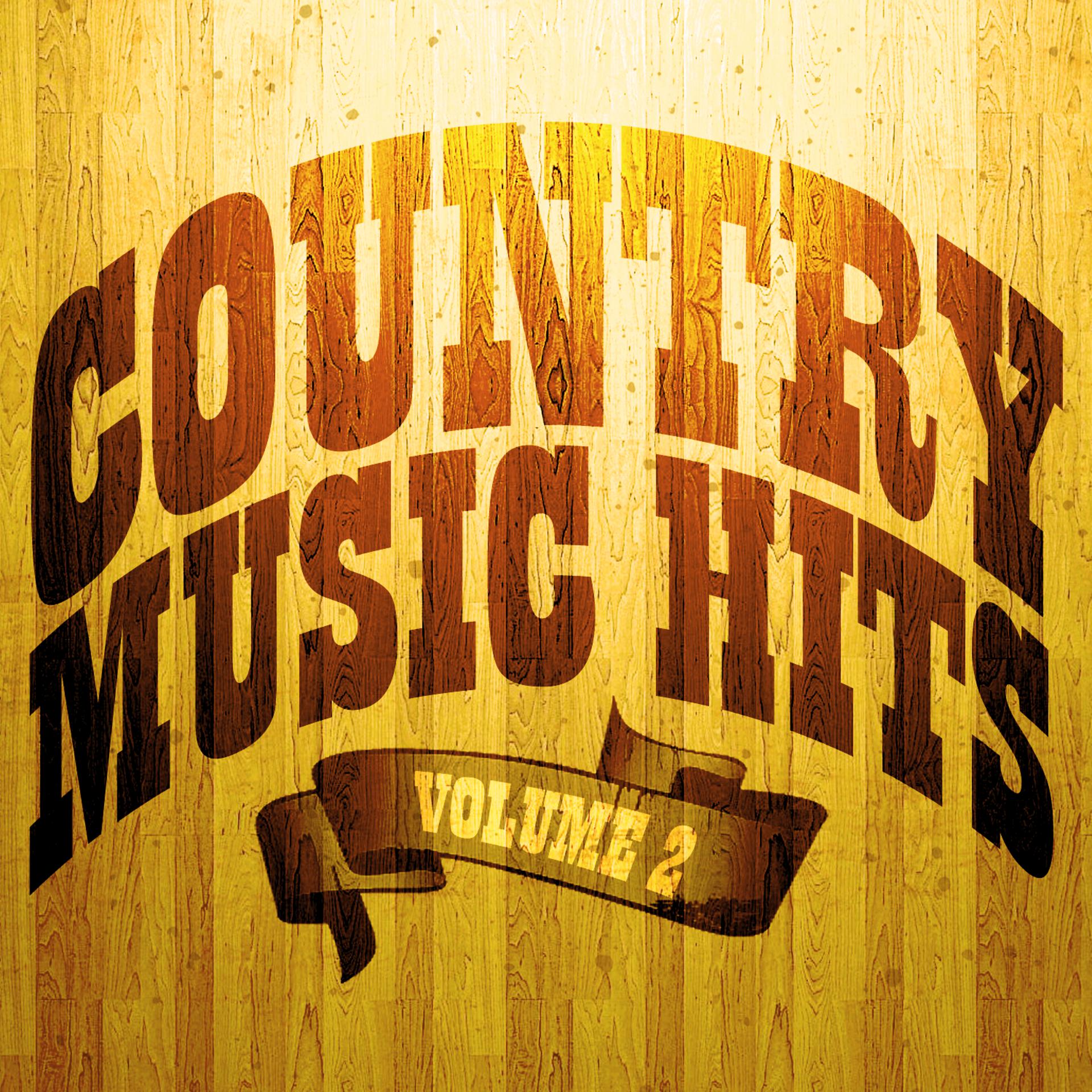 Постер альбома 100 Country Music Hits Vol. 2