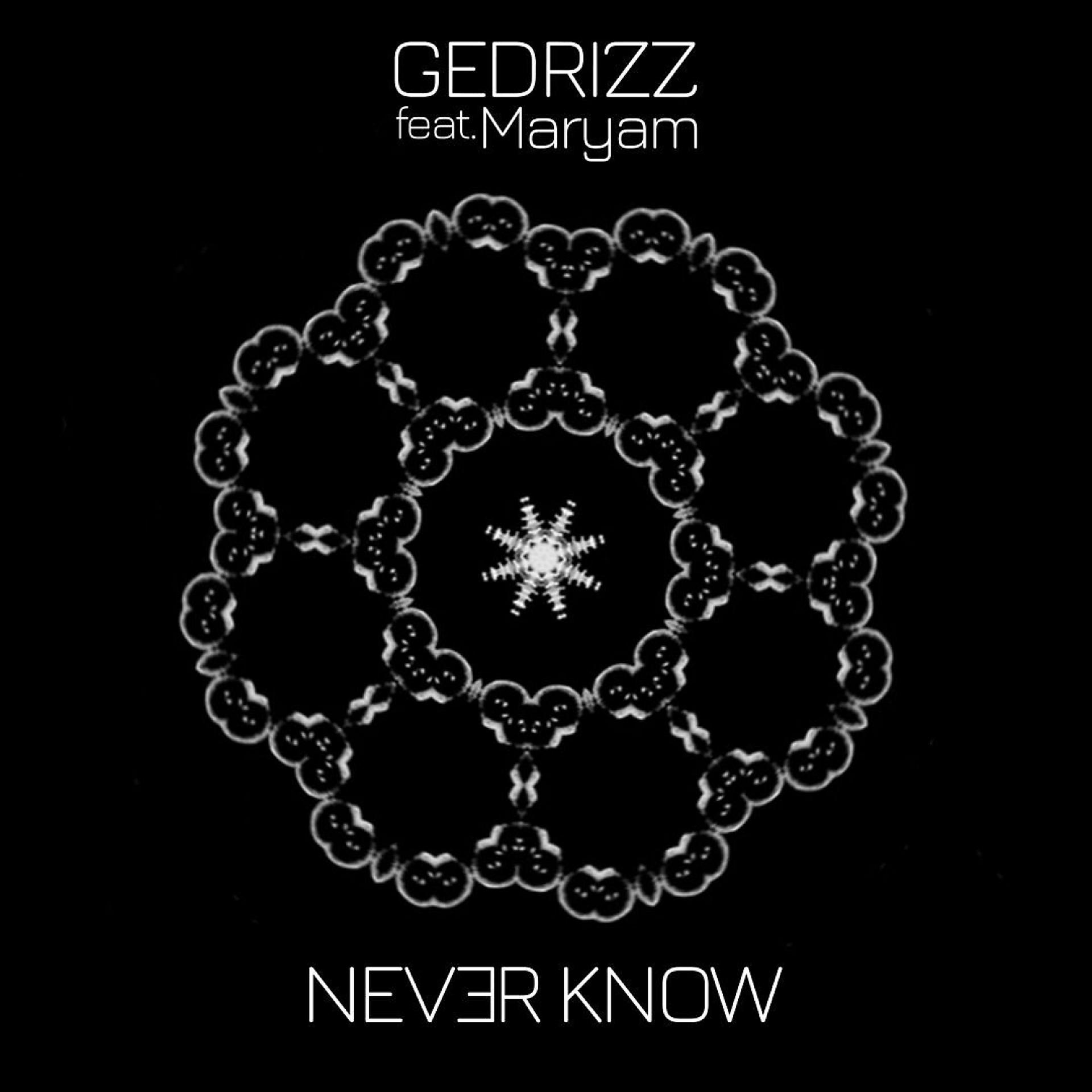 Постер альбома Never know (feat. Maryam)