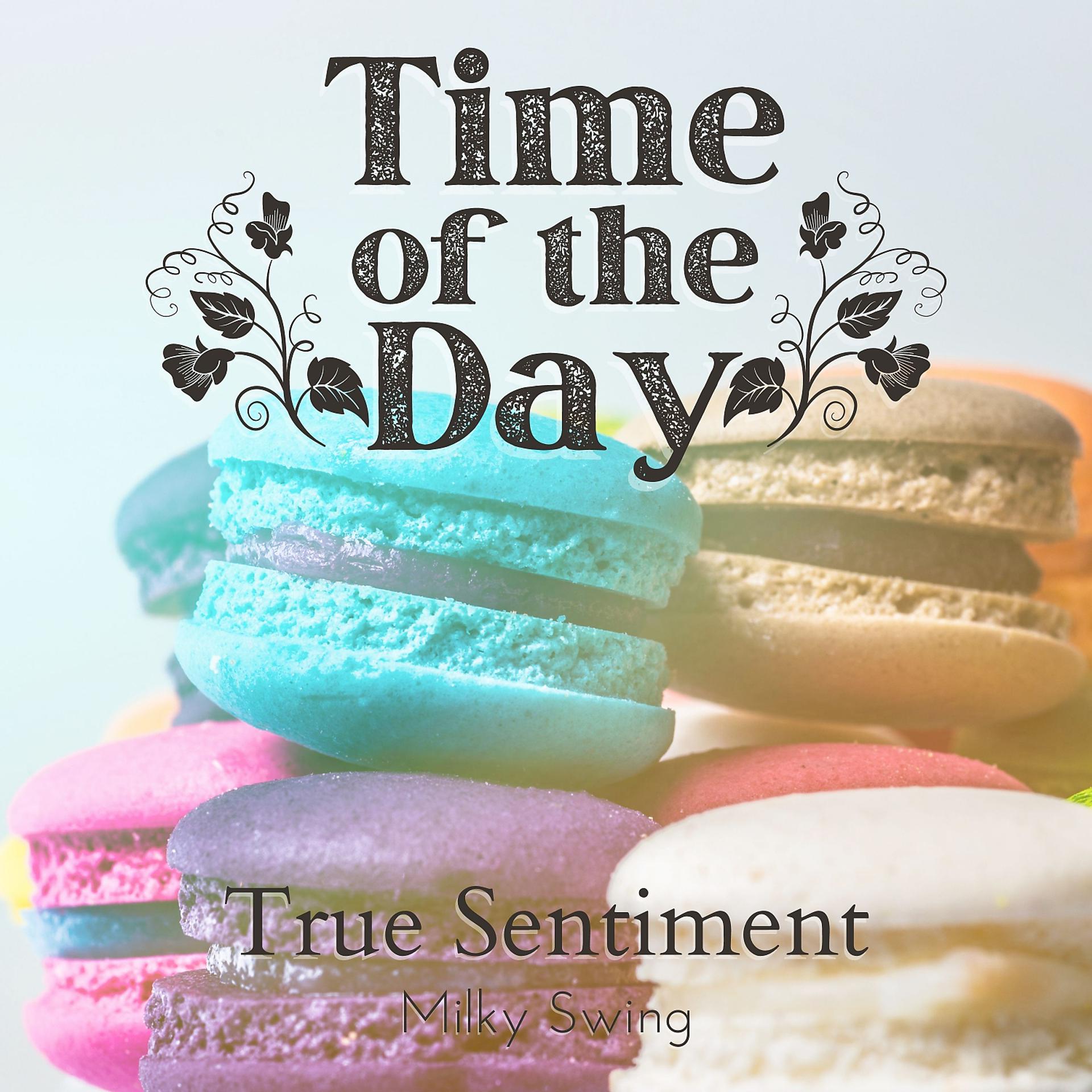 Постер альбома Time of the Day - True Sentiment