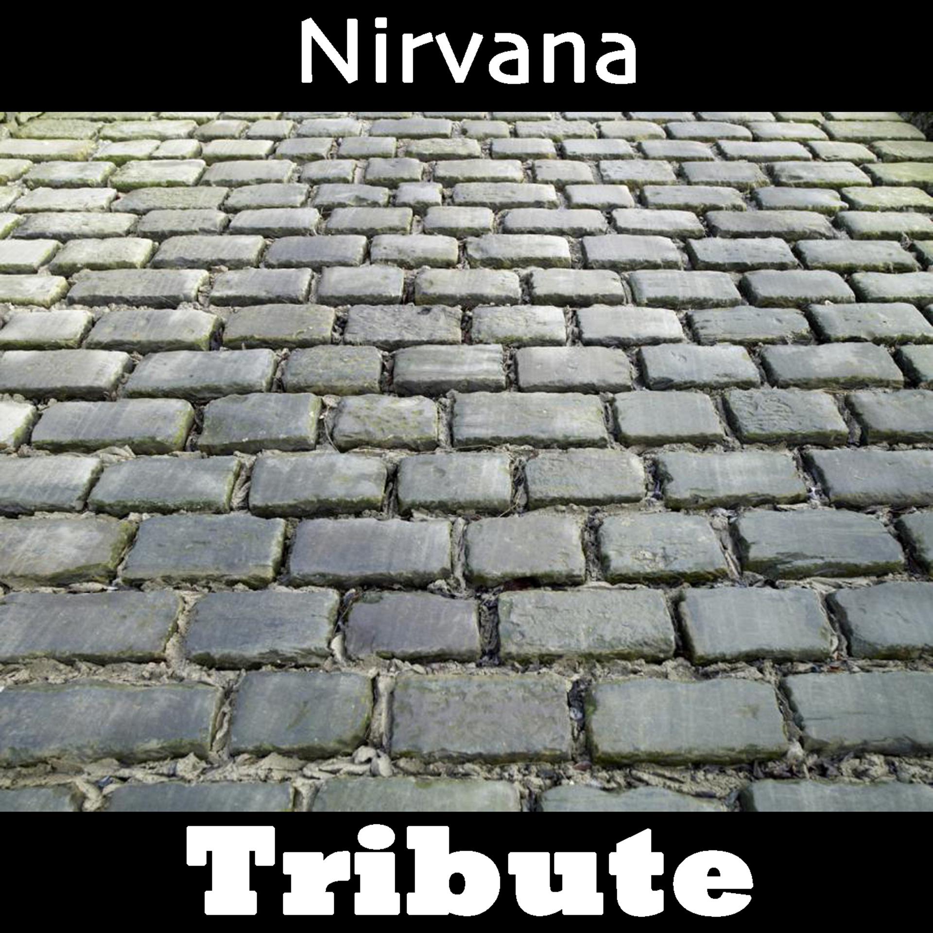 Постер альбома In Bloom: Tribute To Nirvana