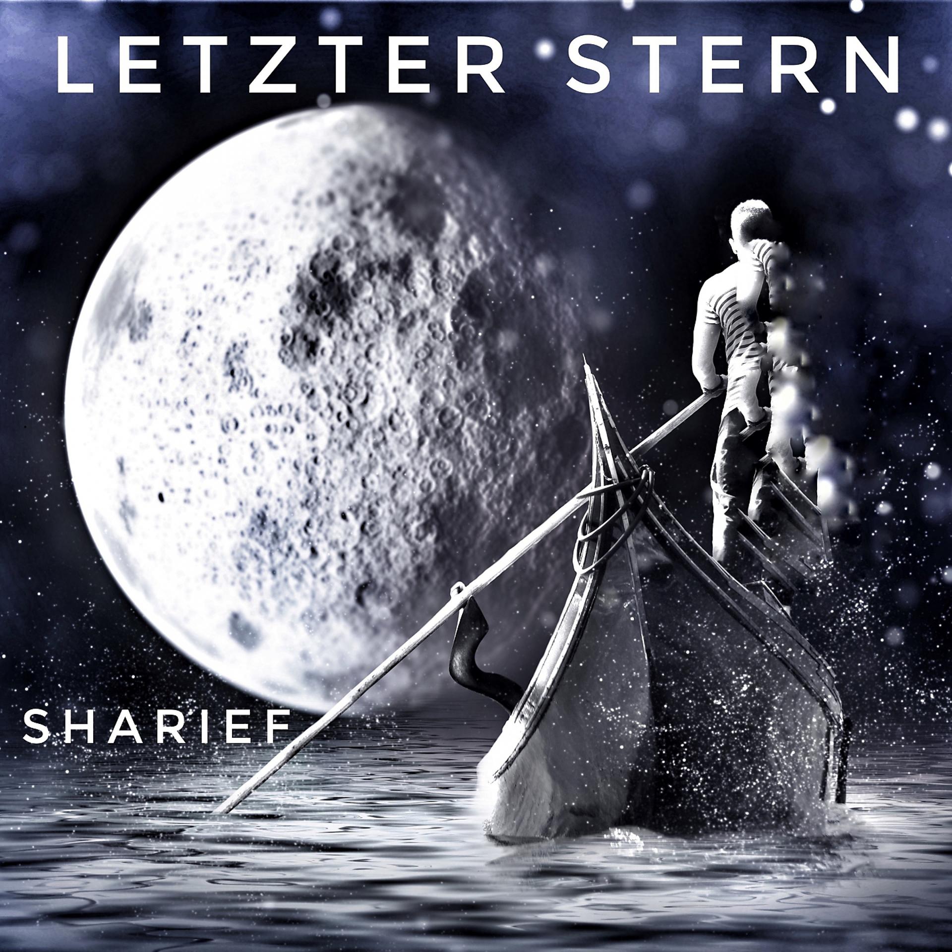 Постер альбома Letzter Stern