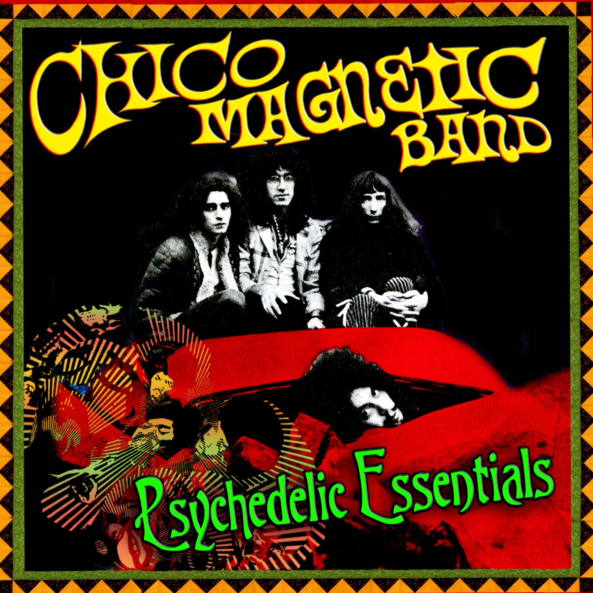 Постер альбома Psychedelic Essentials