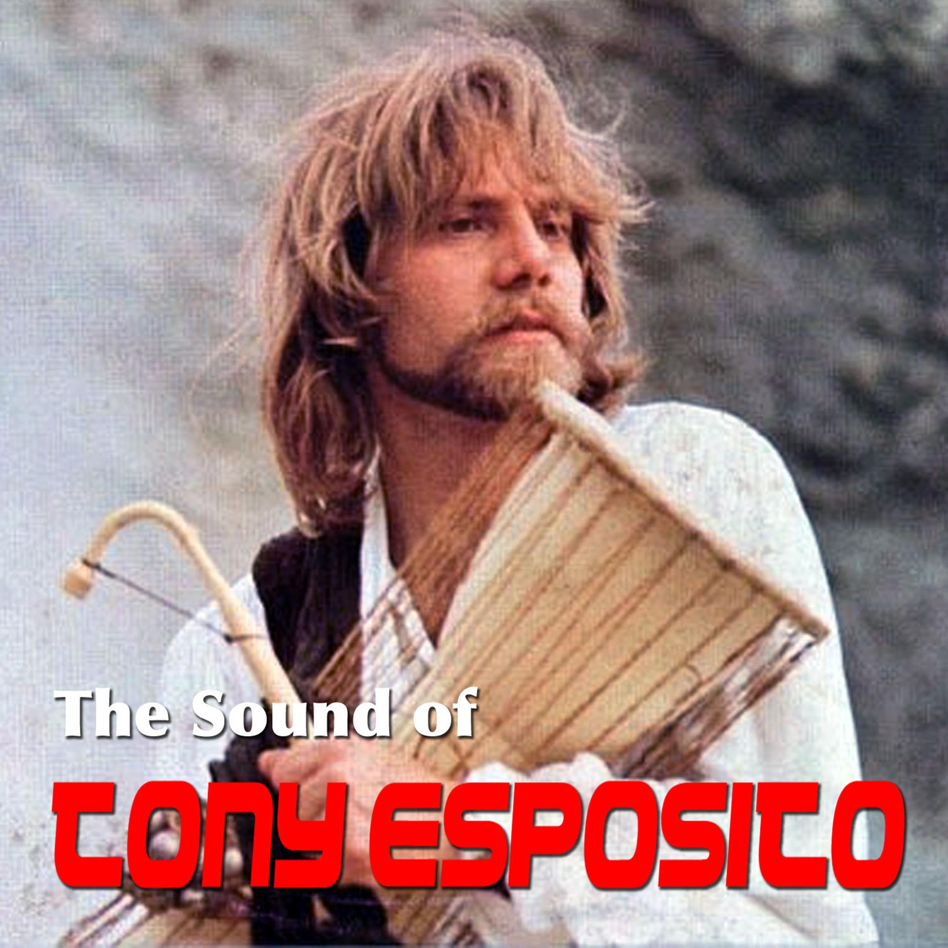 Постер альбома The Sound of Tony Esposito