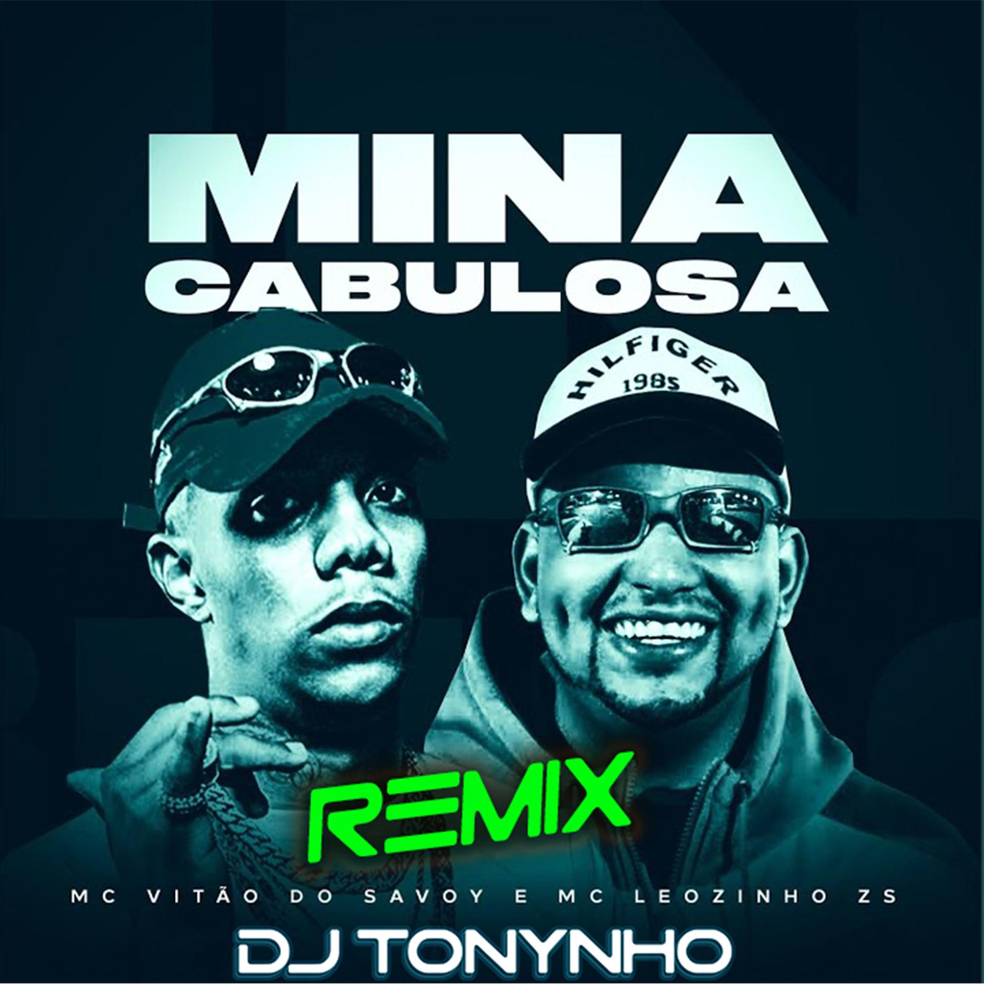Постер альбома Mina Cabulosa (Piseiro Remix)