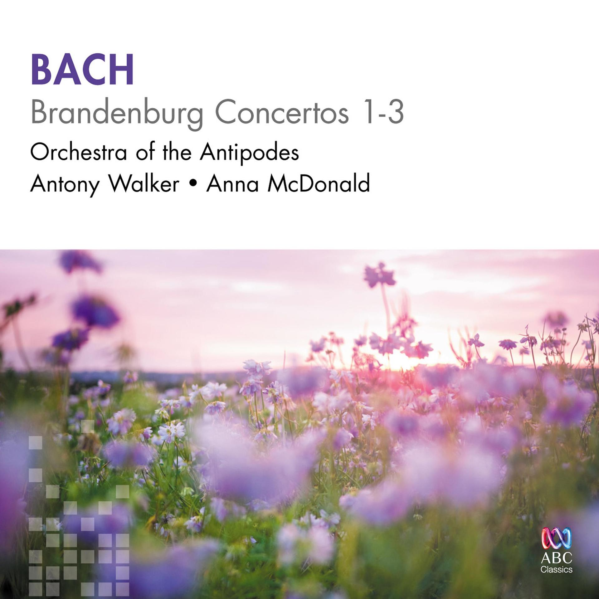Постер альбома Bach: Brandenburg Concertos 1-3