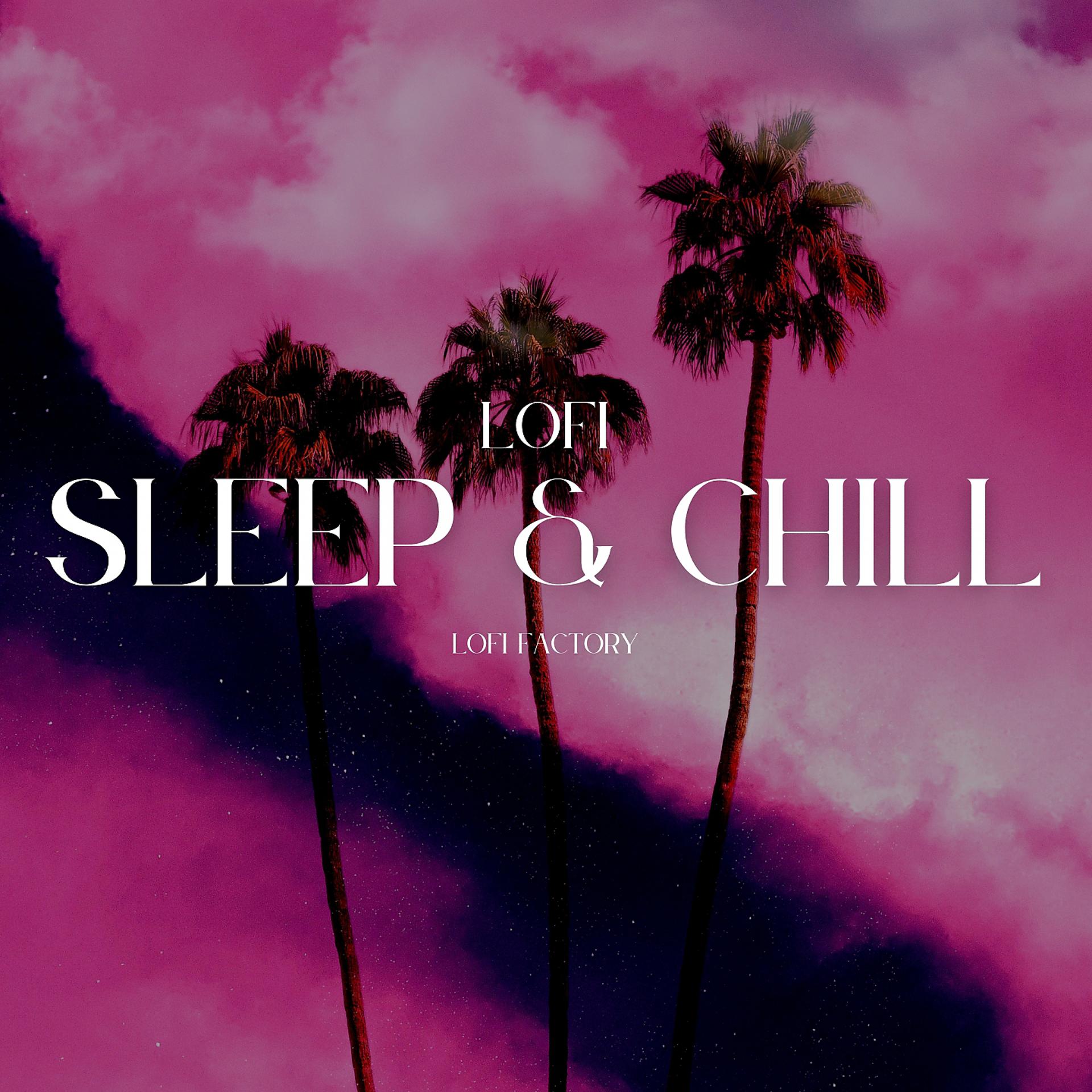 Постер альбома Lofi Sleep & Chill
