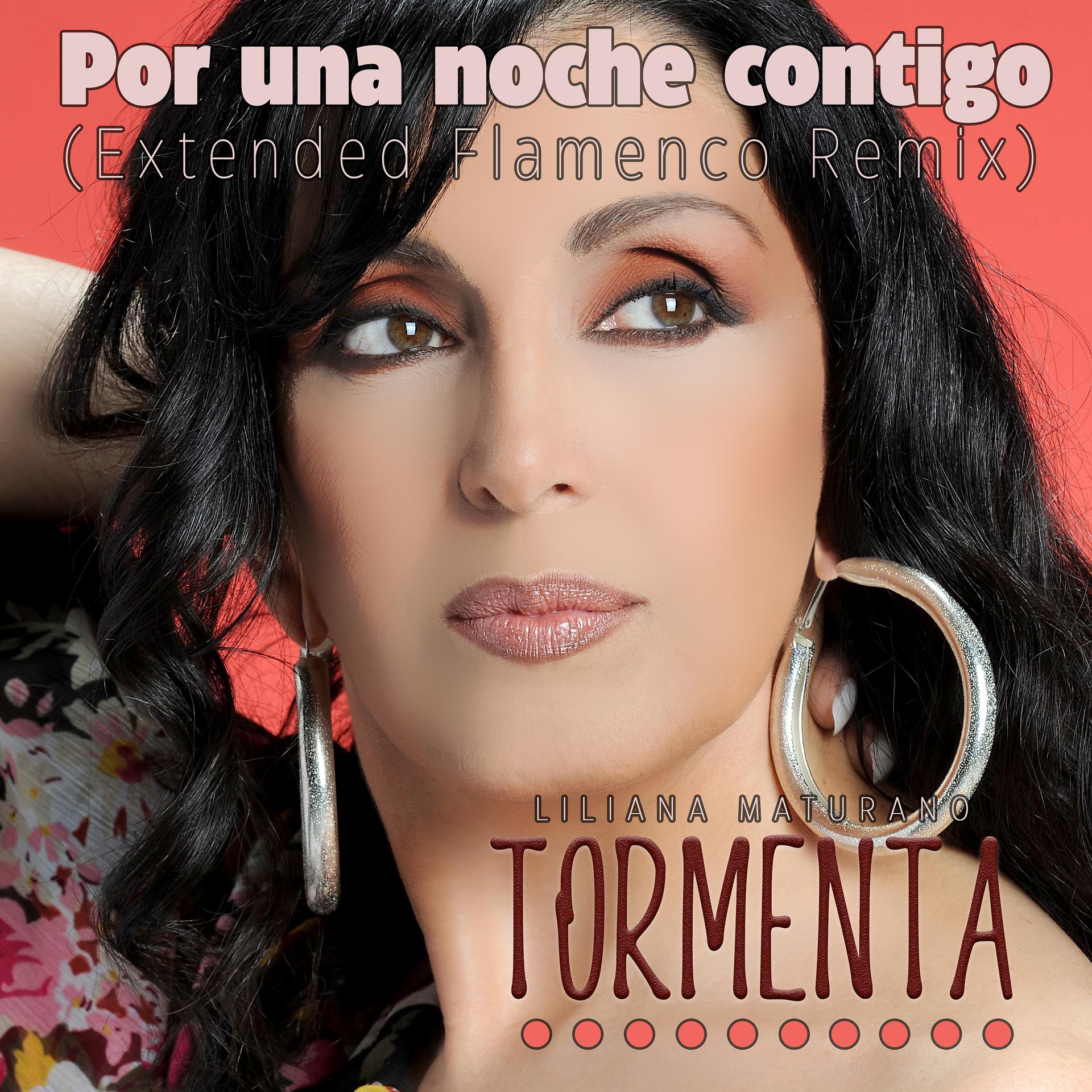 Постер альбома Por una Noche Contigo (Extended Flamenco Remix)