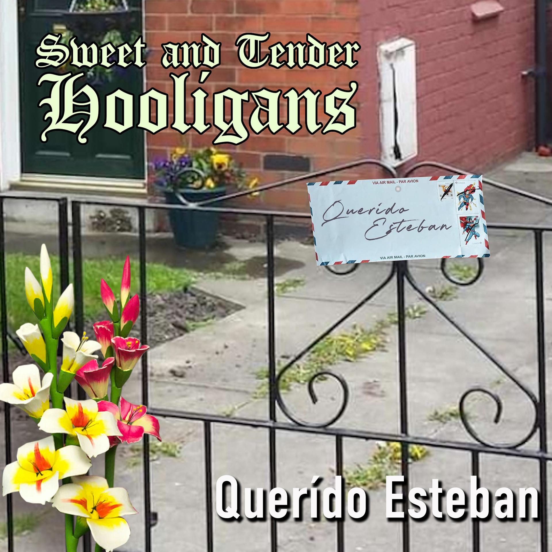 Постер альбома Querído Esteban