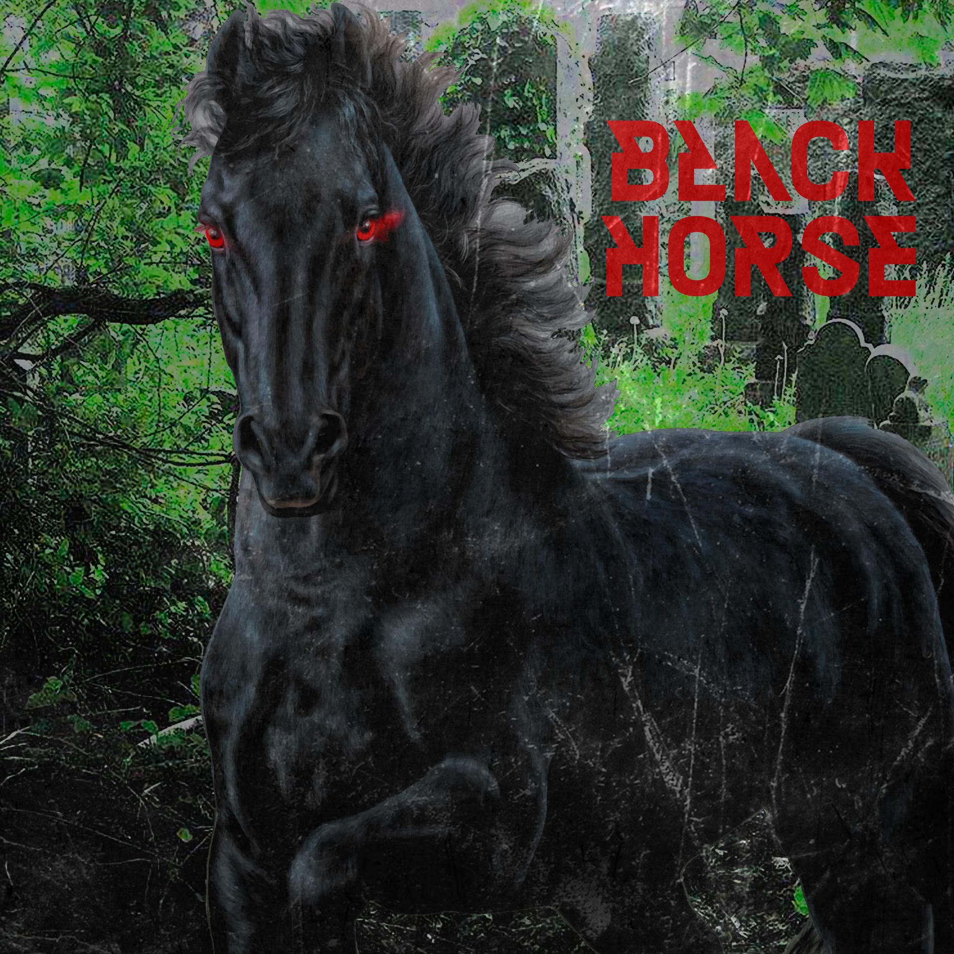 Постер альбома BLACK HORSE