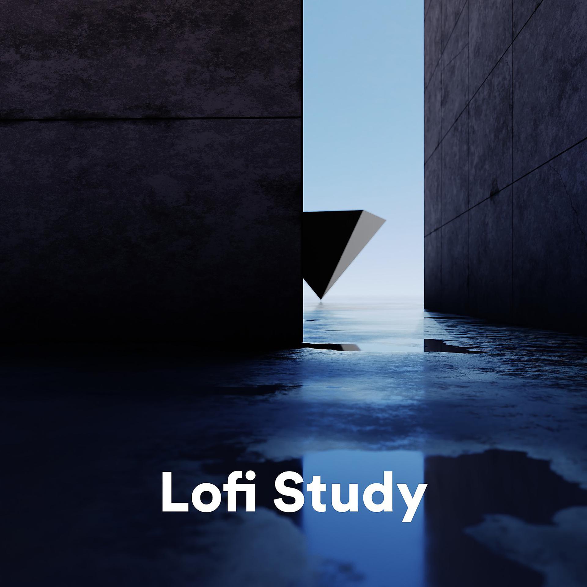 Постер альбома Lofi Study
