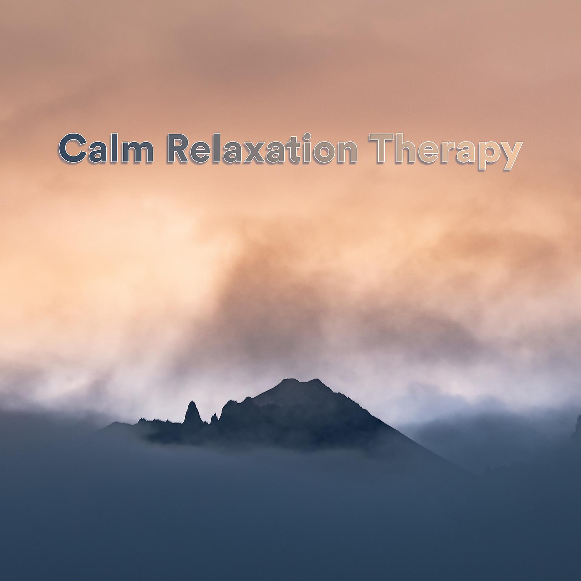 Постер альбома Calm Relaxation Therapy