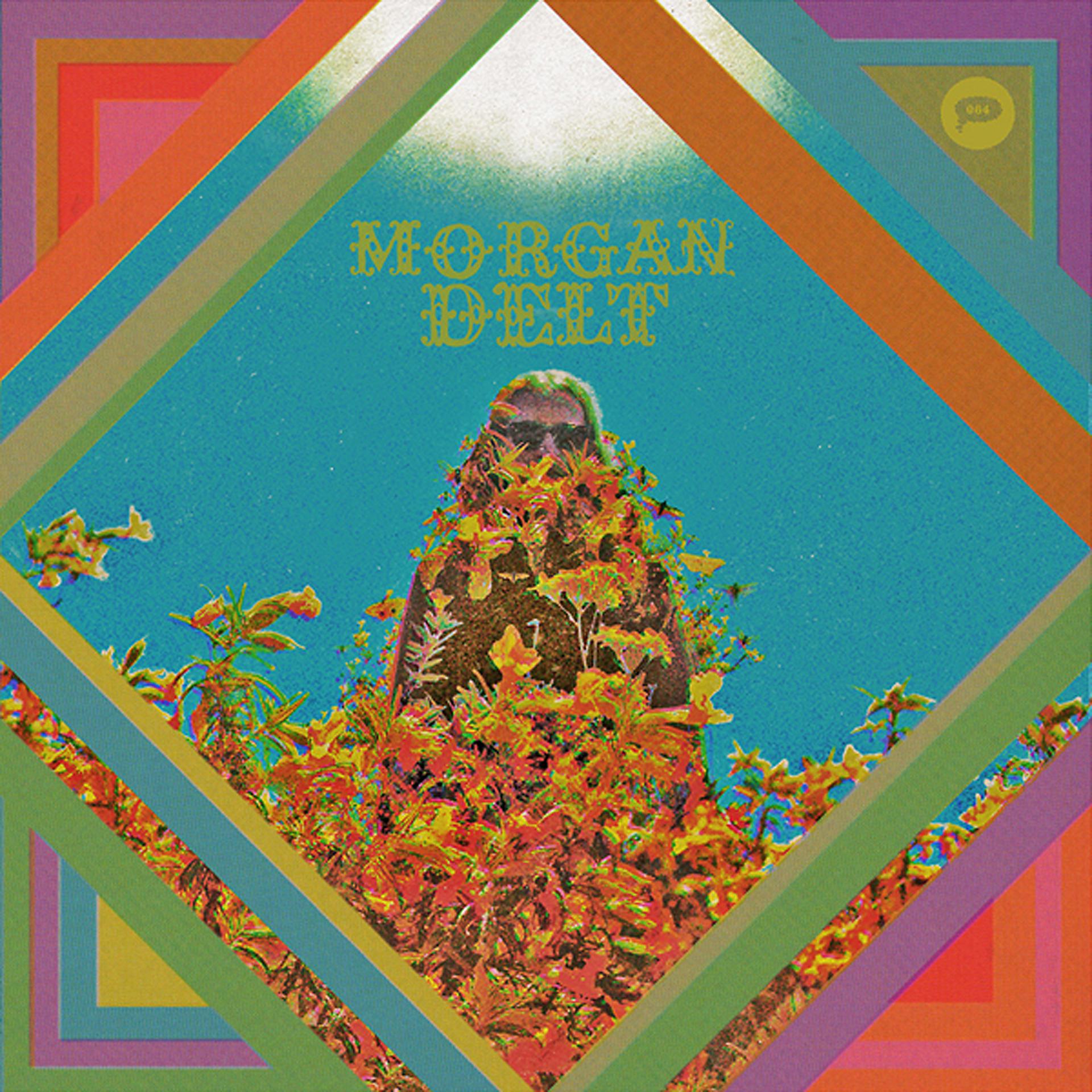 Постер альбома Morgan Delt