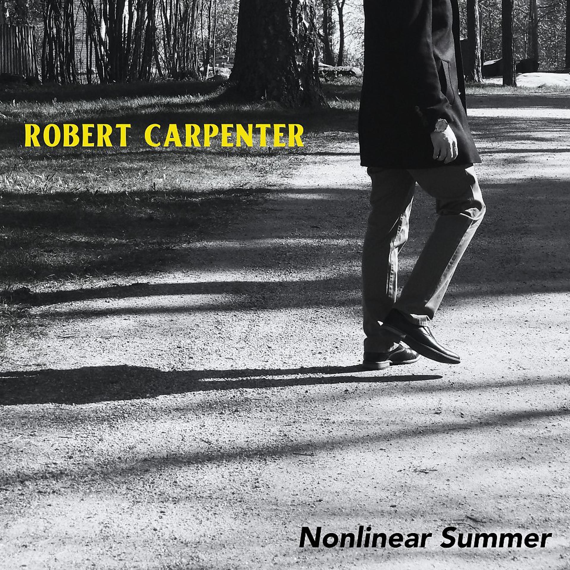 Постер альбома Nonlinear Summer