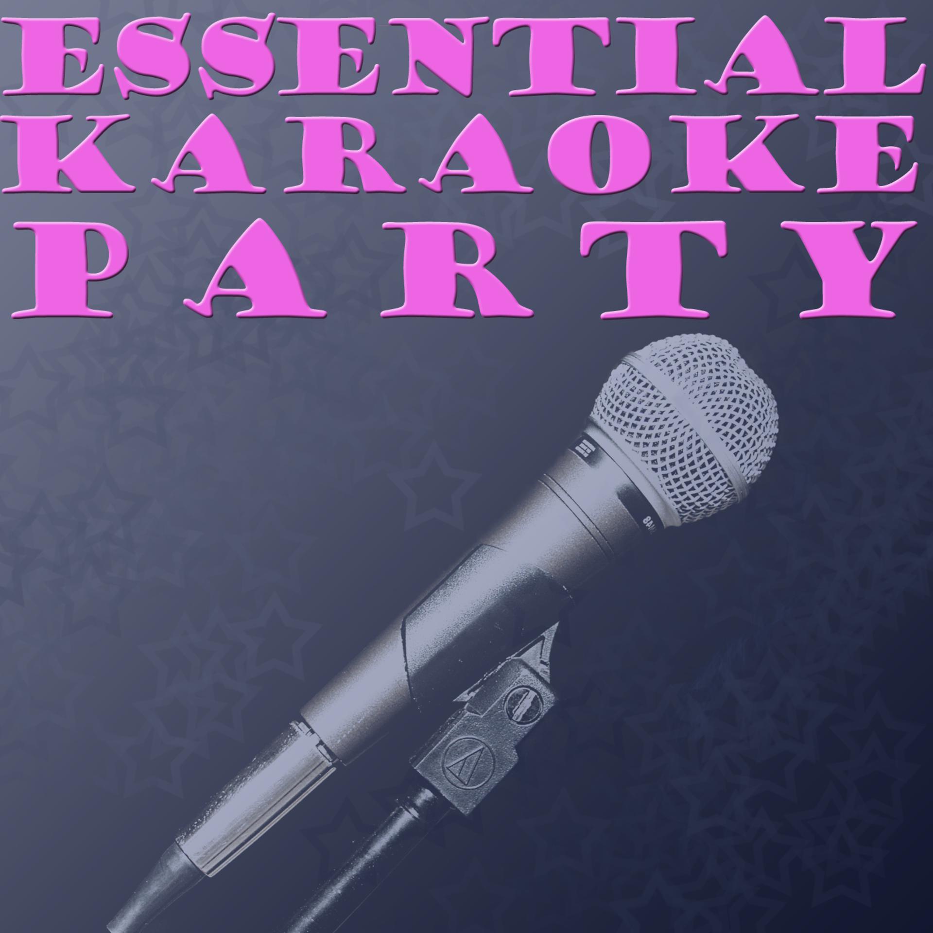 Постер альбома Essential Karaoke Party