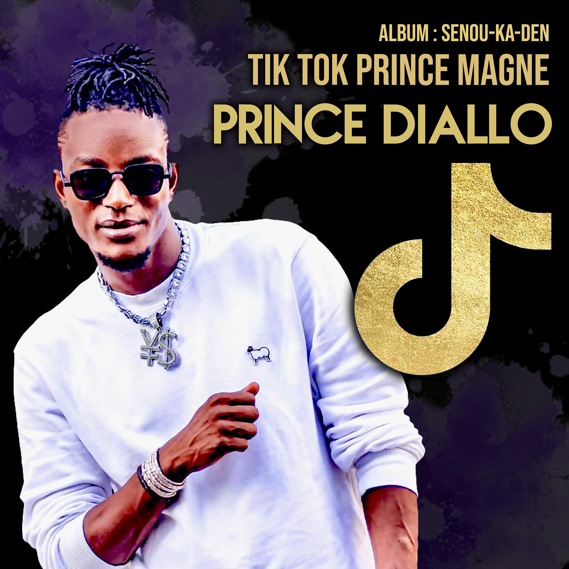 Постер альбома Tik Tok Prince magne