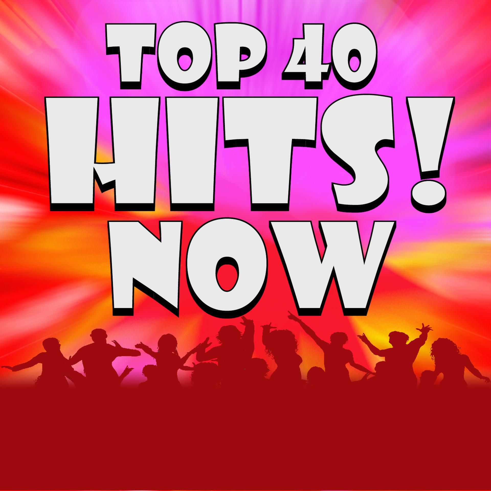 Постер альбома Top 40 Hits! Now