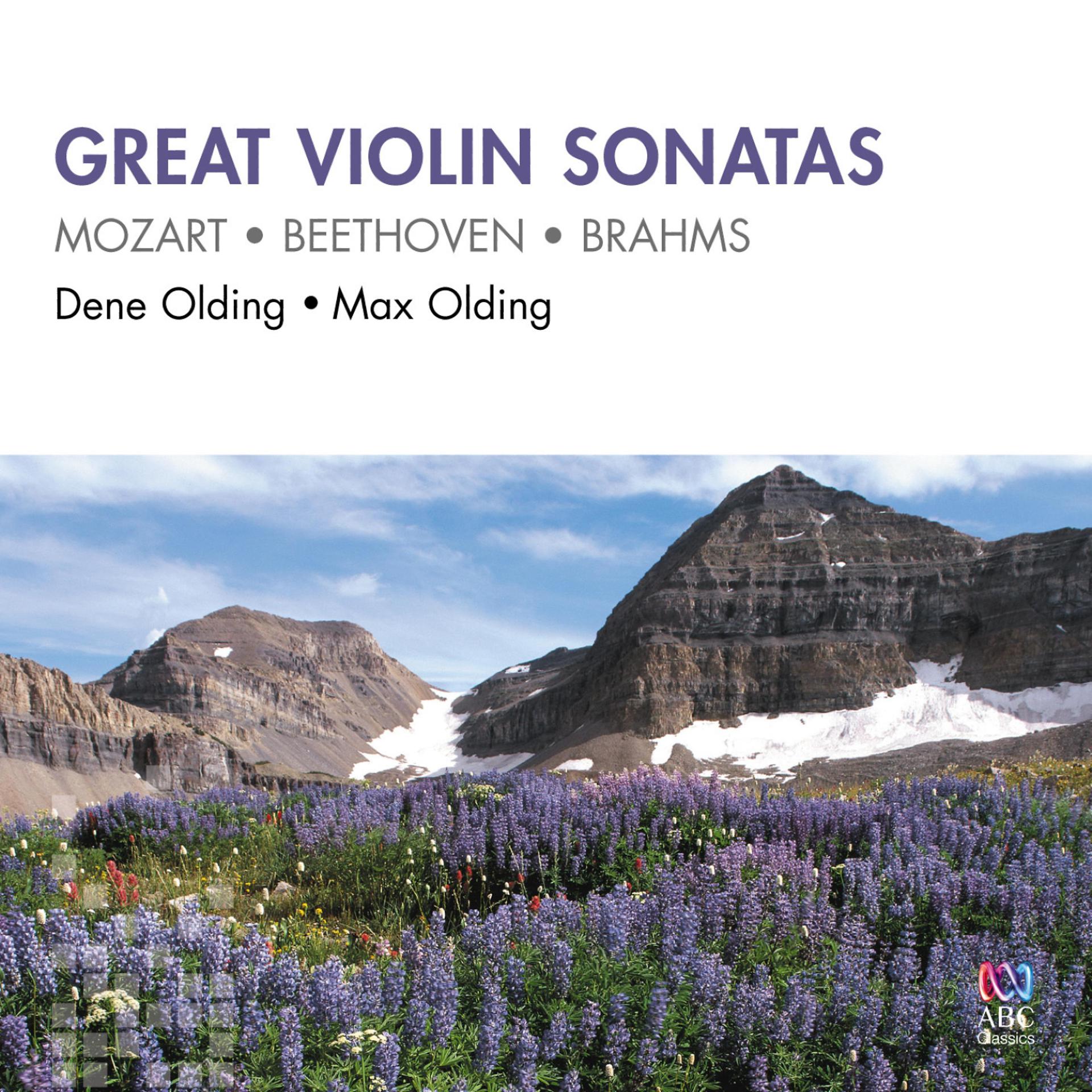 Постер альбома Great Violin Sonatas