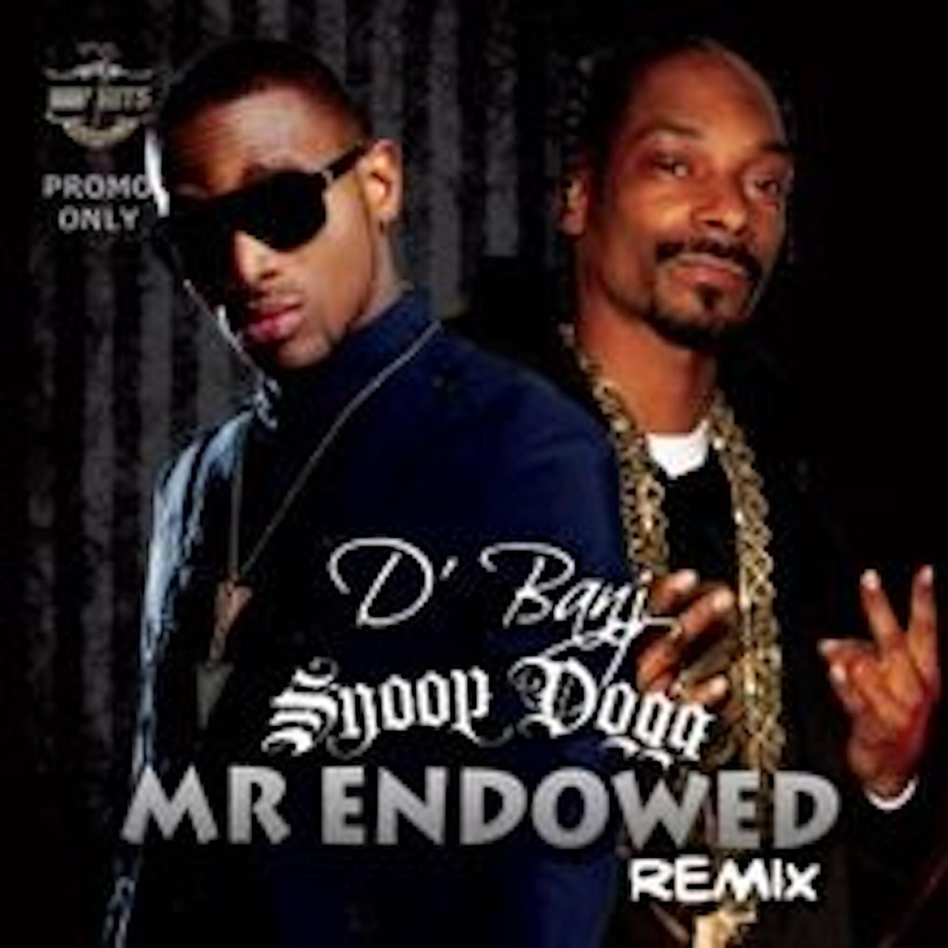 Постер альбома Mr Endowed (Remix)