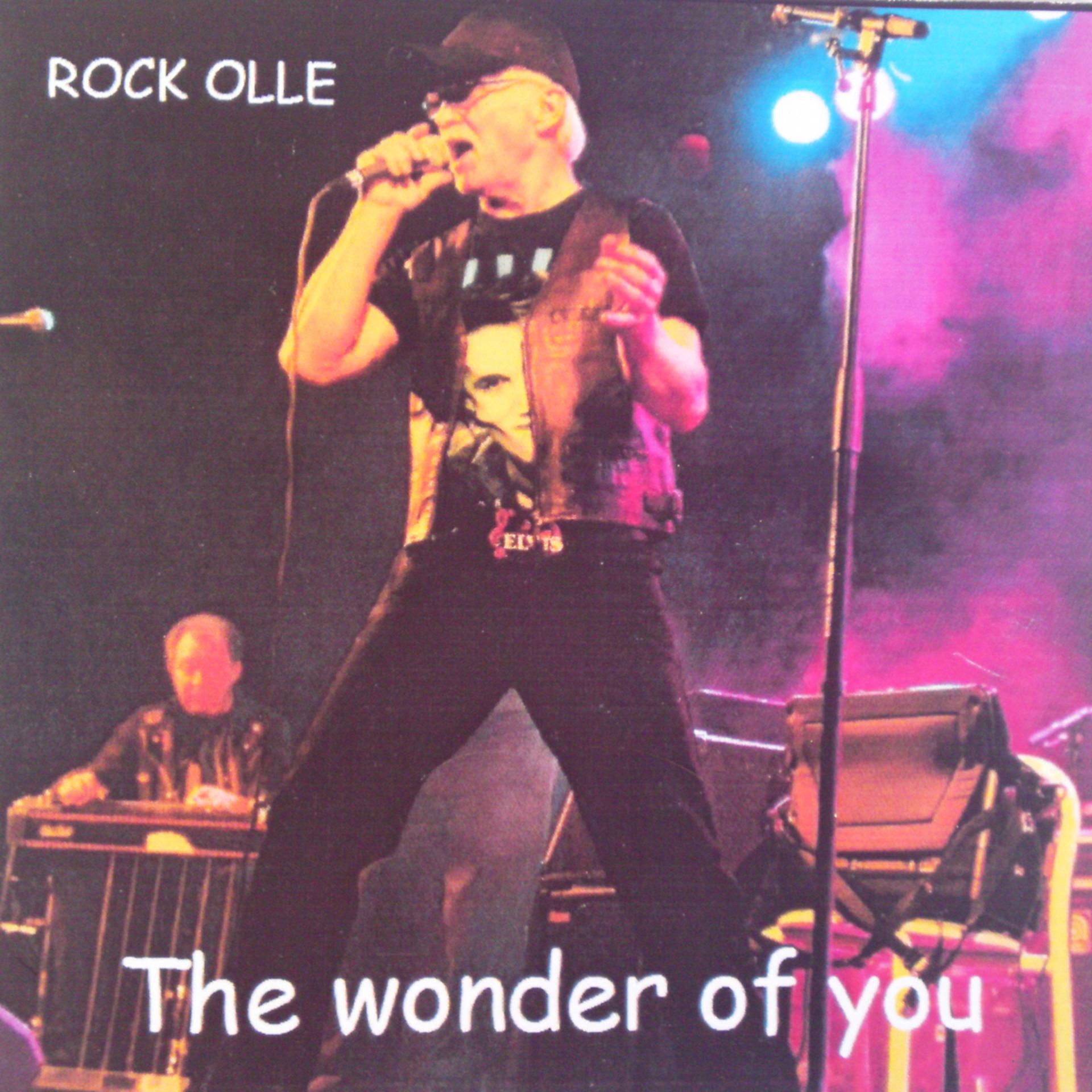 Постер альбома The Wonder Of You
