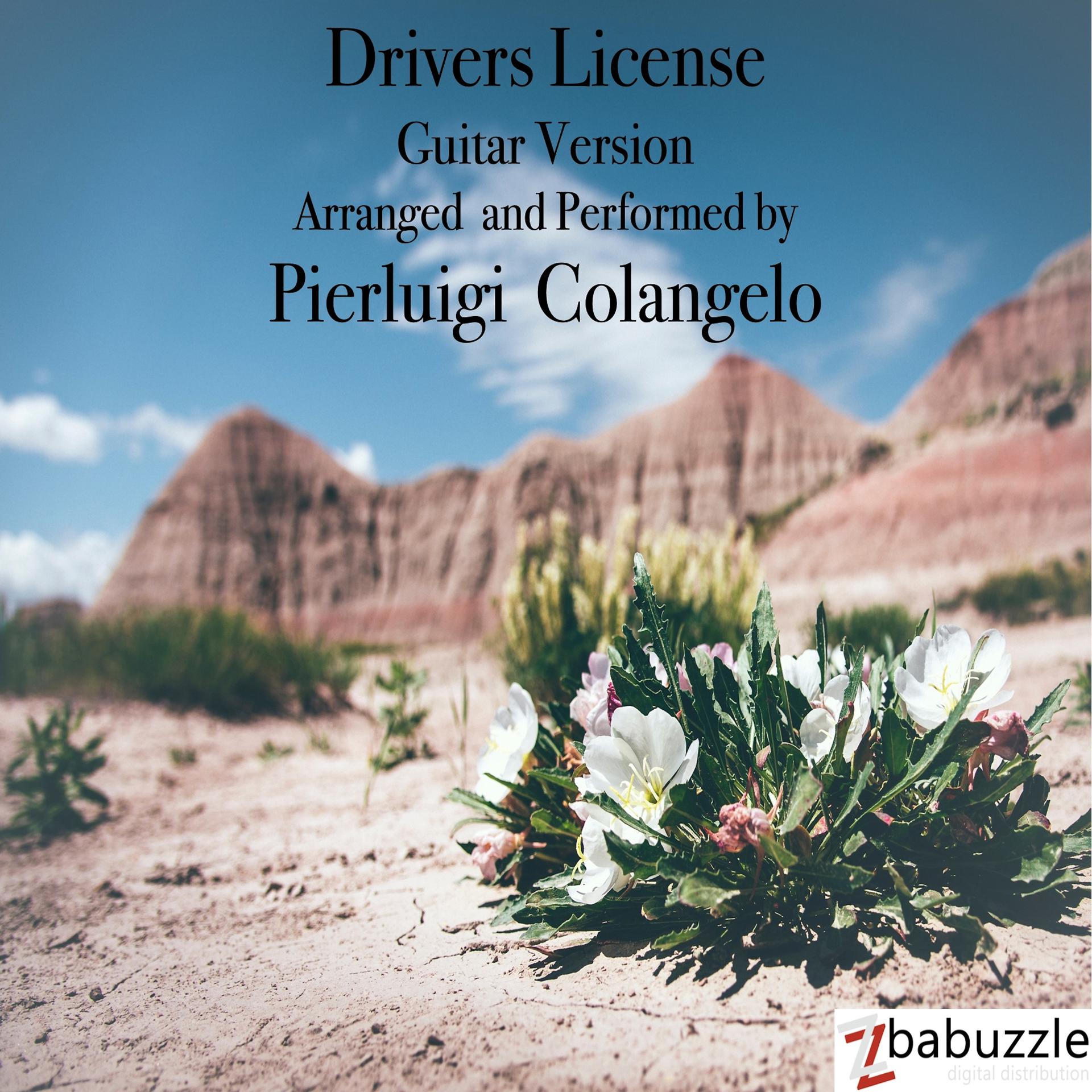 Постер альбома Drivers License (Guitar Version)