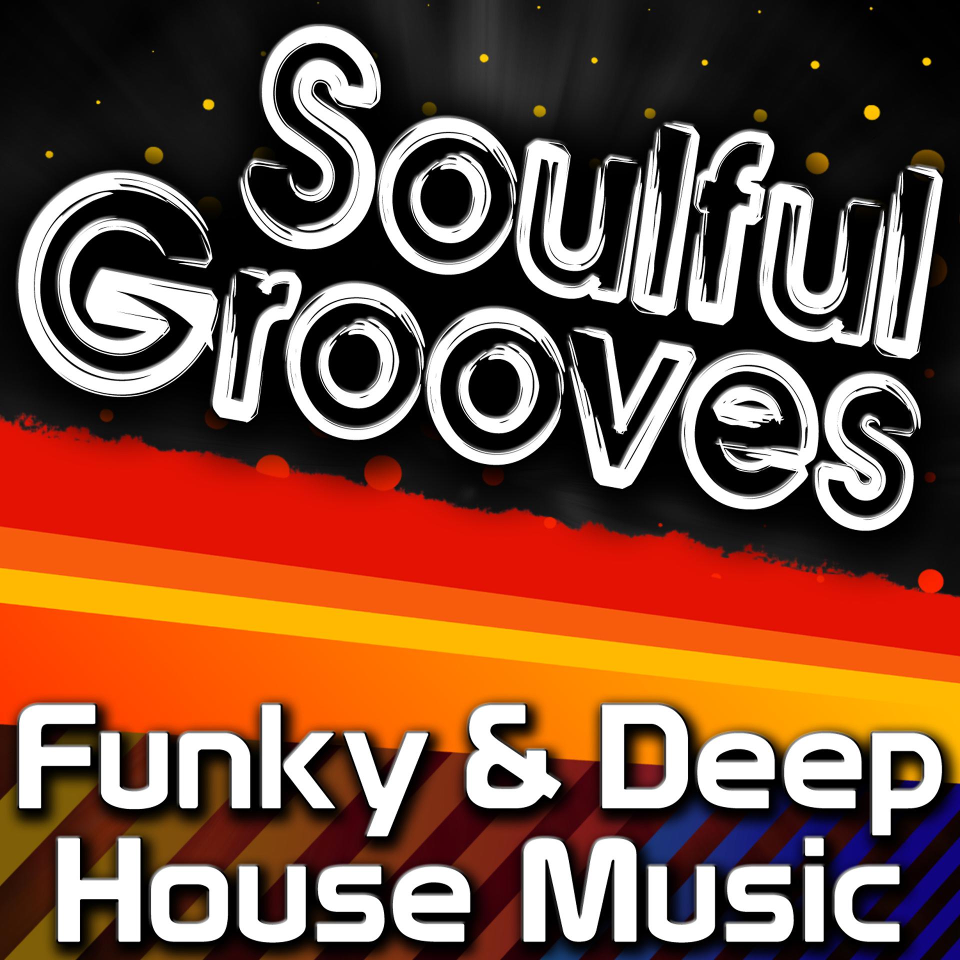 Постер альбома Soulful Grooves - Funky & Deep House Music