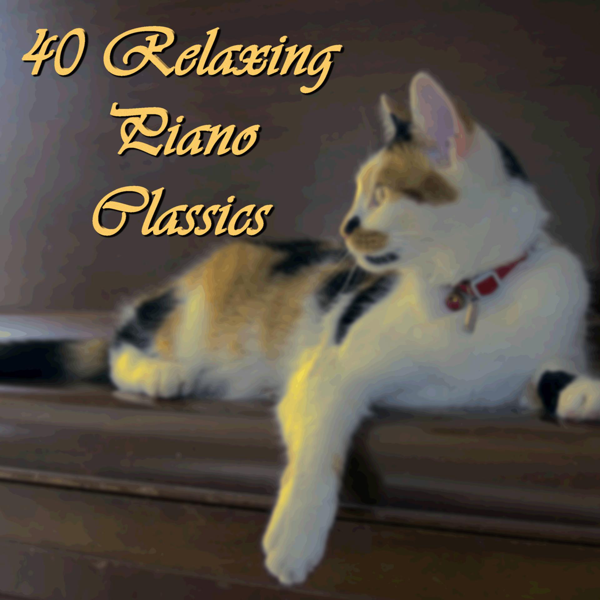 Постер альбома 40 Relaxing Piano Classics
