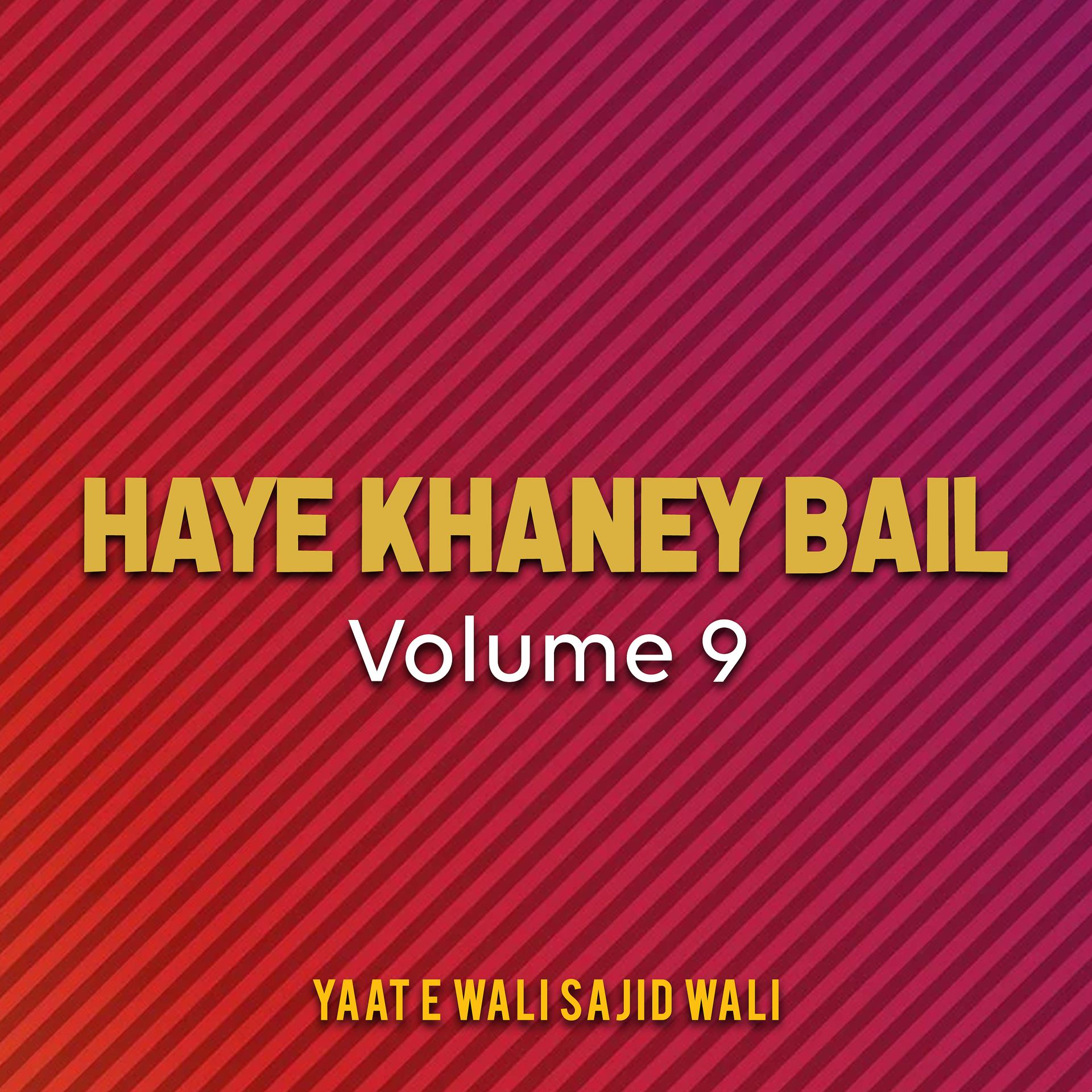 Постер альбома Haye Khaney Bail, Vol. 9