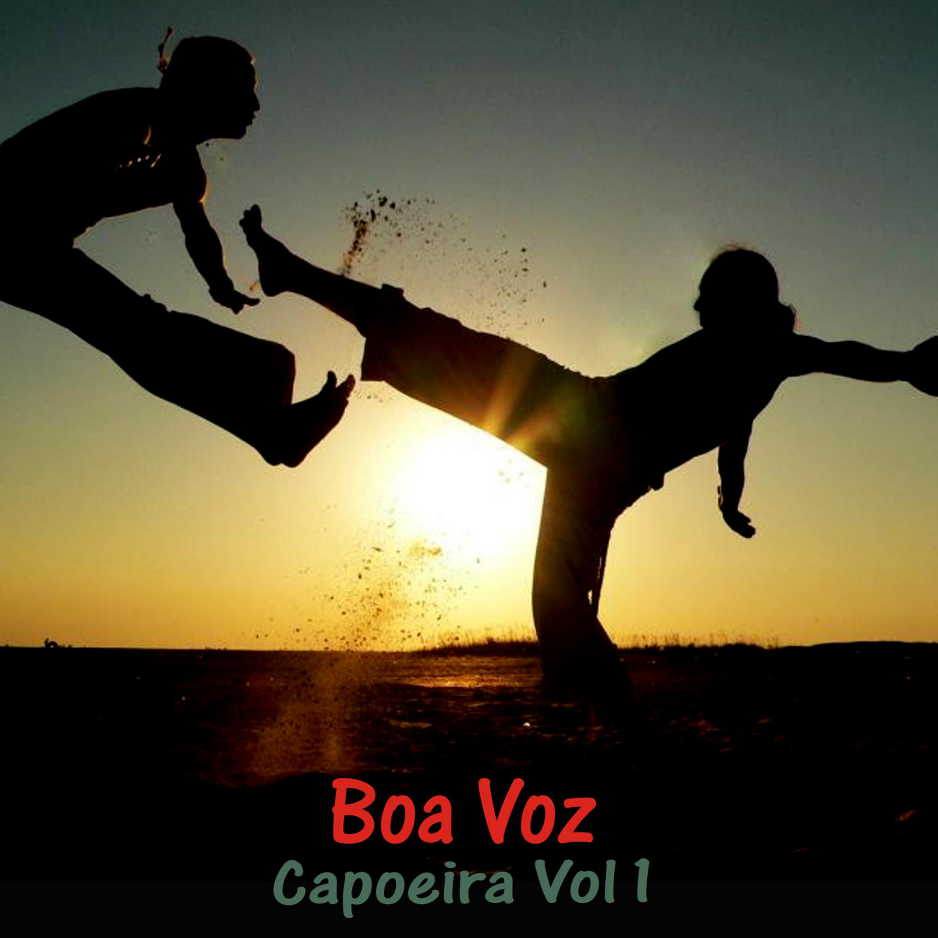 Постер альбома Capoeira Vol 1