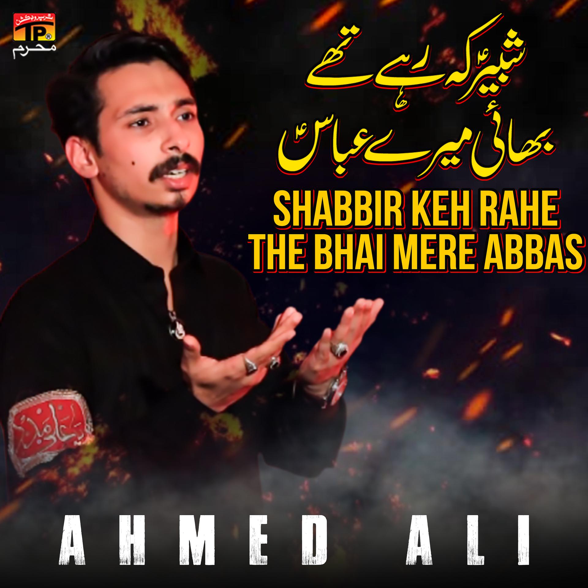 Постер альбома Shabbir Keh Rahe the Bhai Mere Abbas - Single
