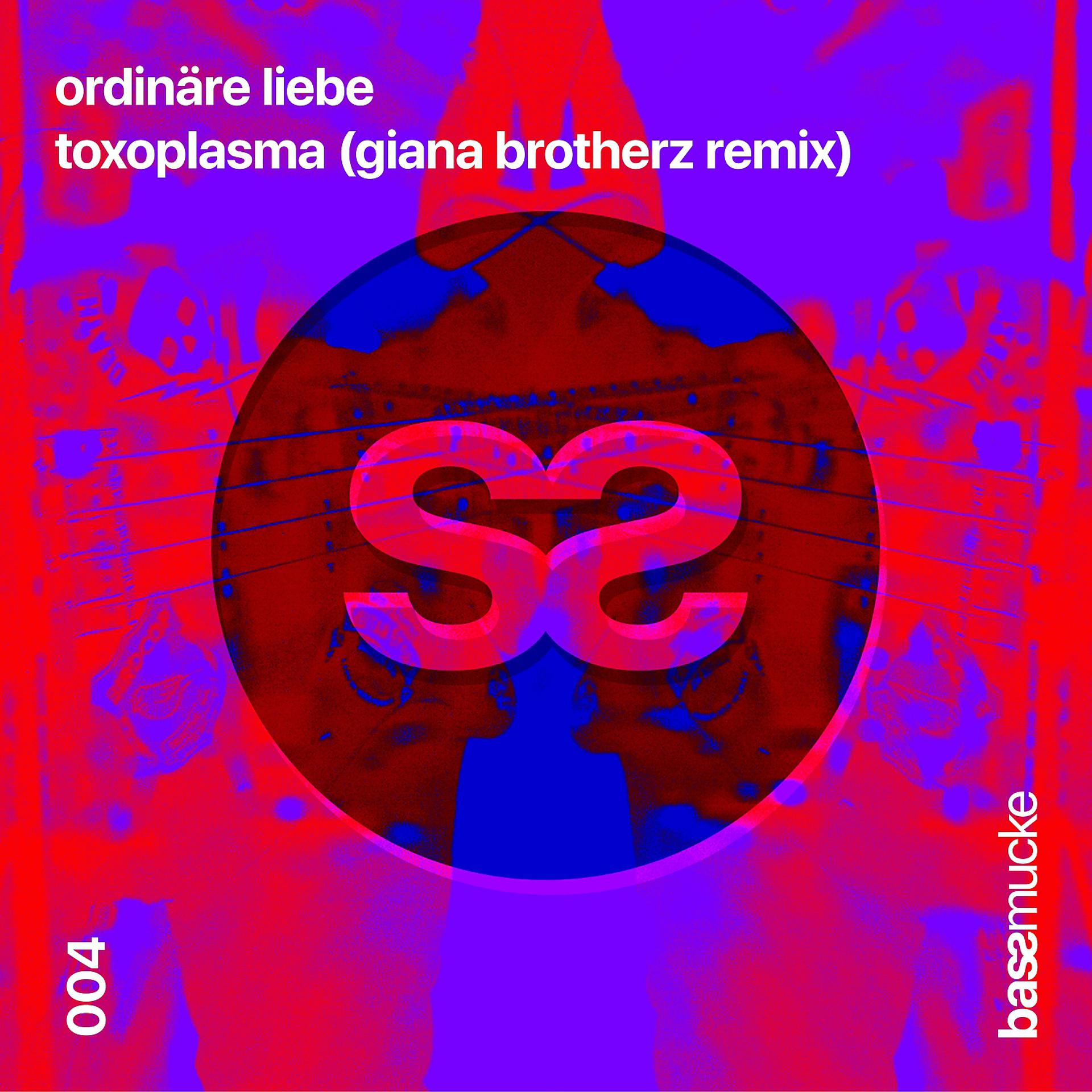 Постер альбома Ordinäre Liebe