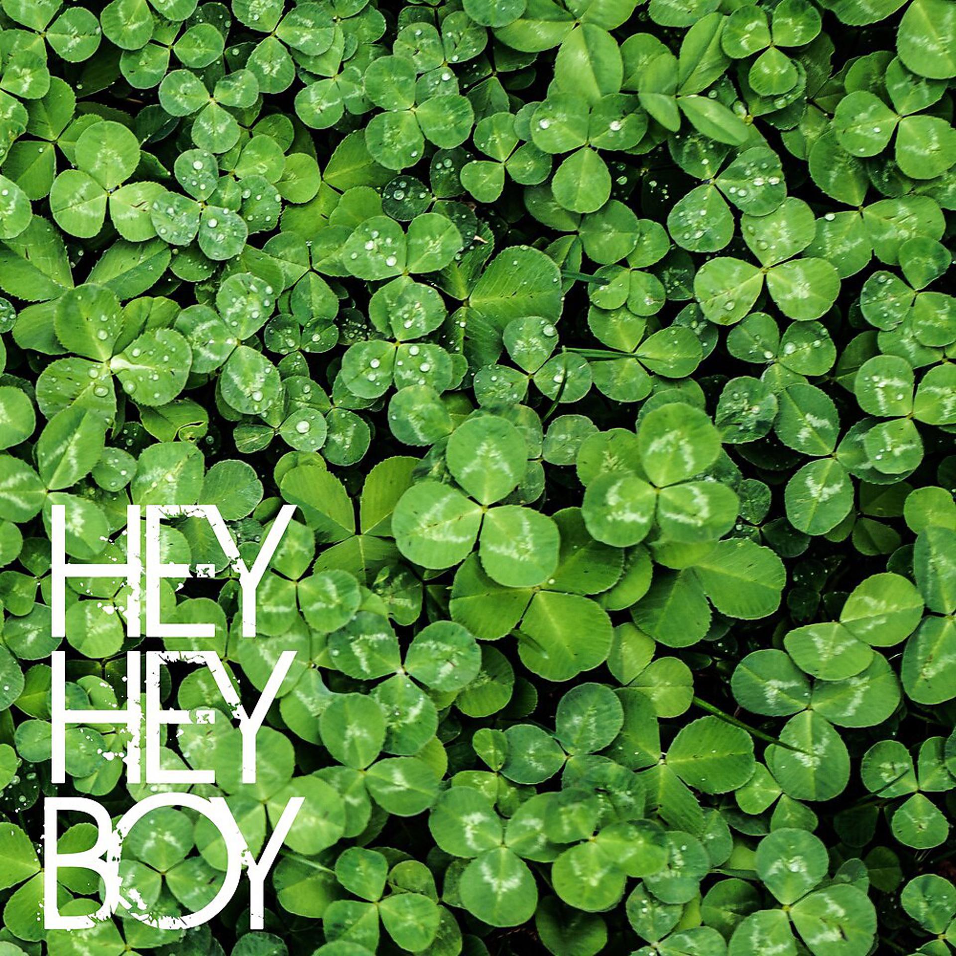 Постер альбома Hey Hey Boy
