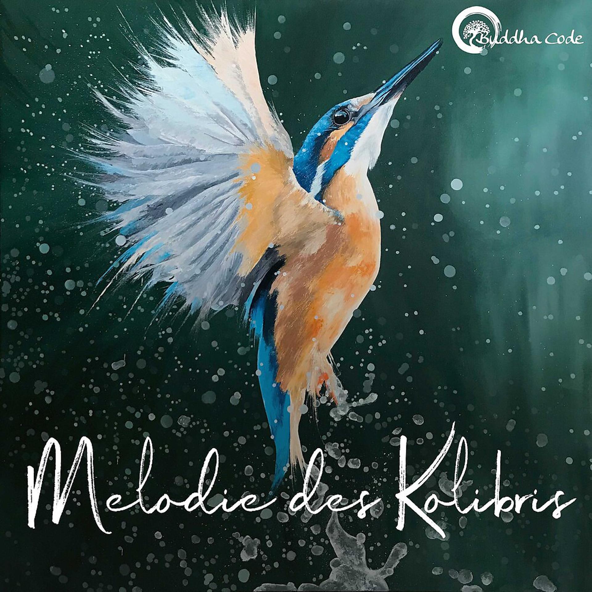 Постер альбома Melodie des Kolibris