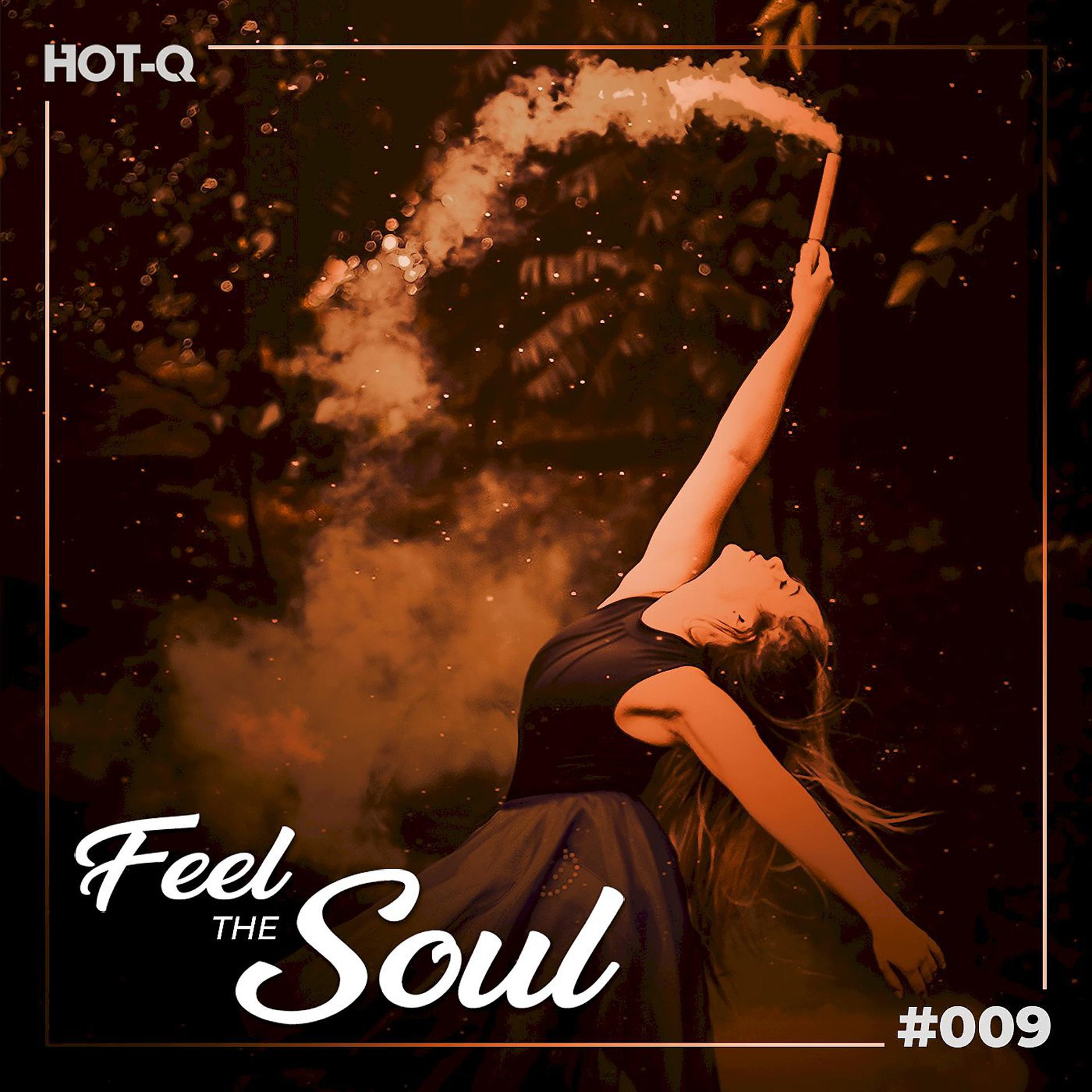Постер альбома Feel The Soul 009