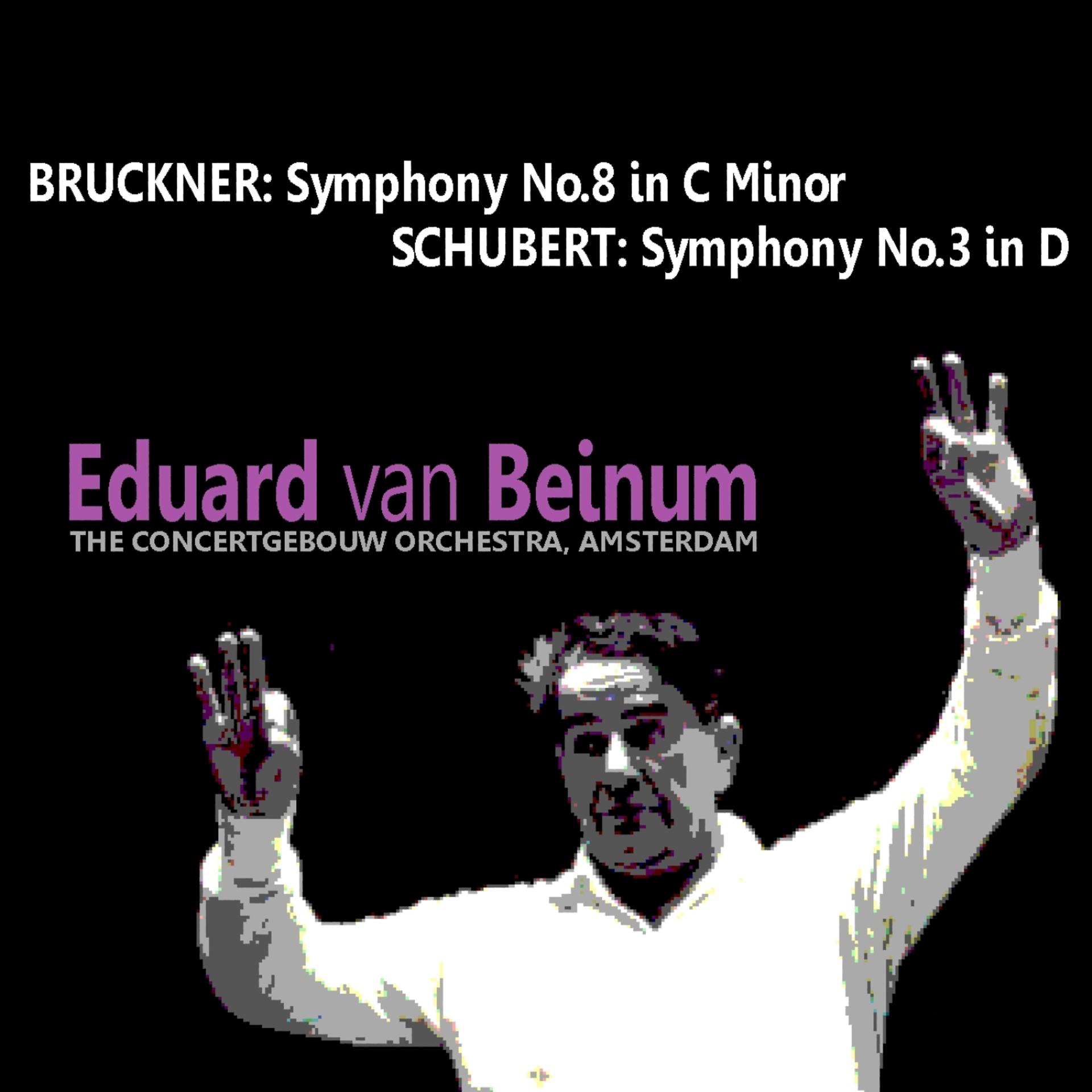 Постер альбома Bruckner: Symphony No. 8 - Schubert: Symphony No. 3