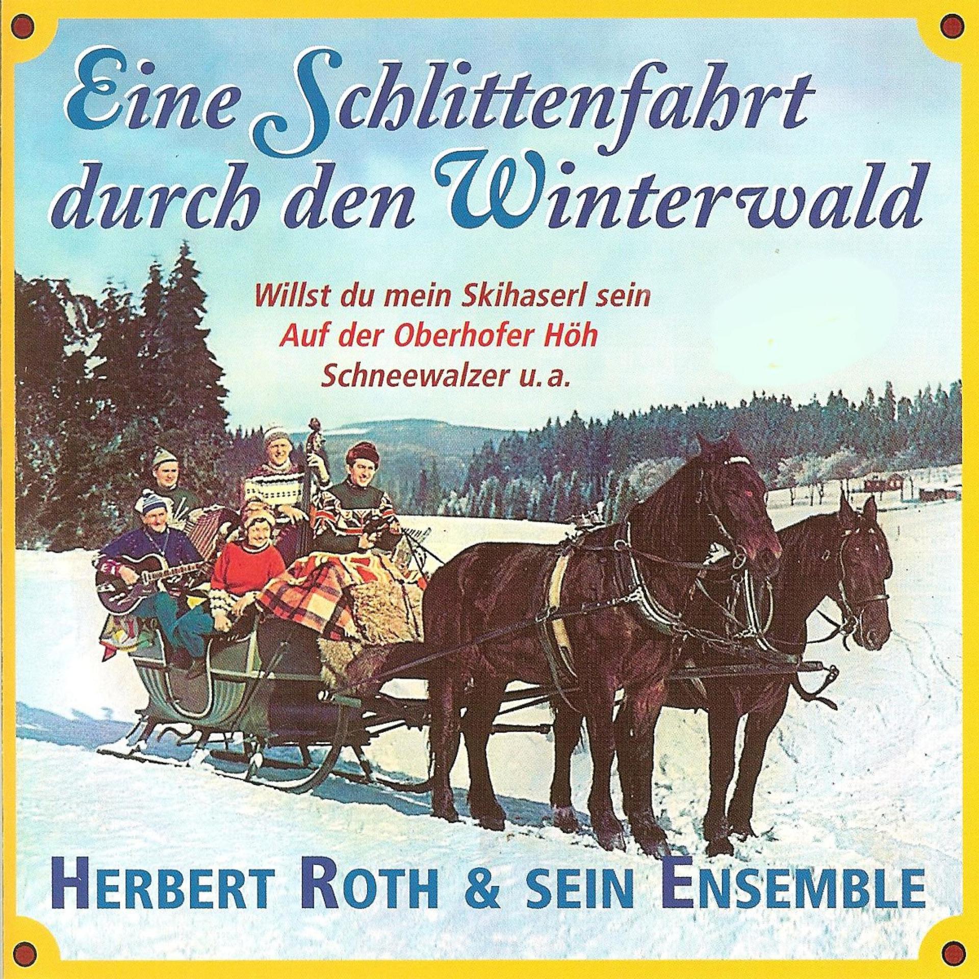 Постер альбома Eine Schlittenfahrt durch den Winterwald