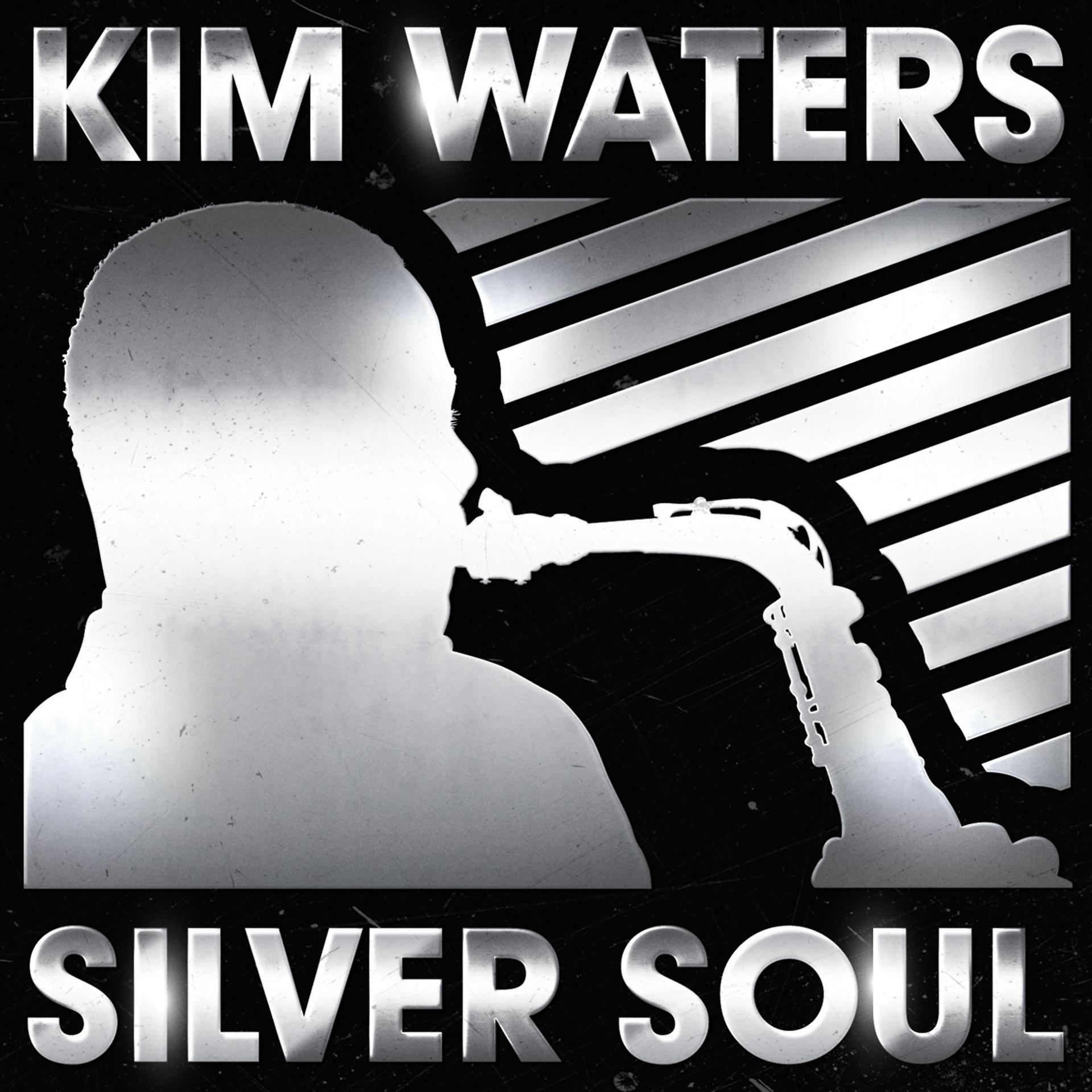 Постер альбома Silver Soul