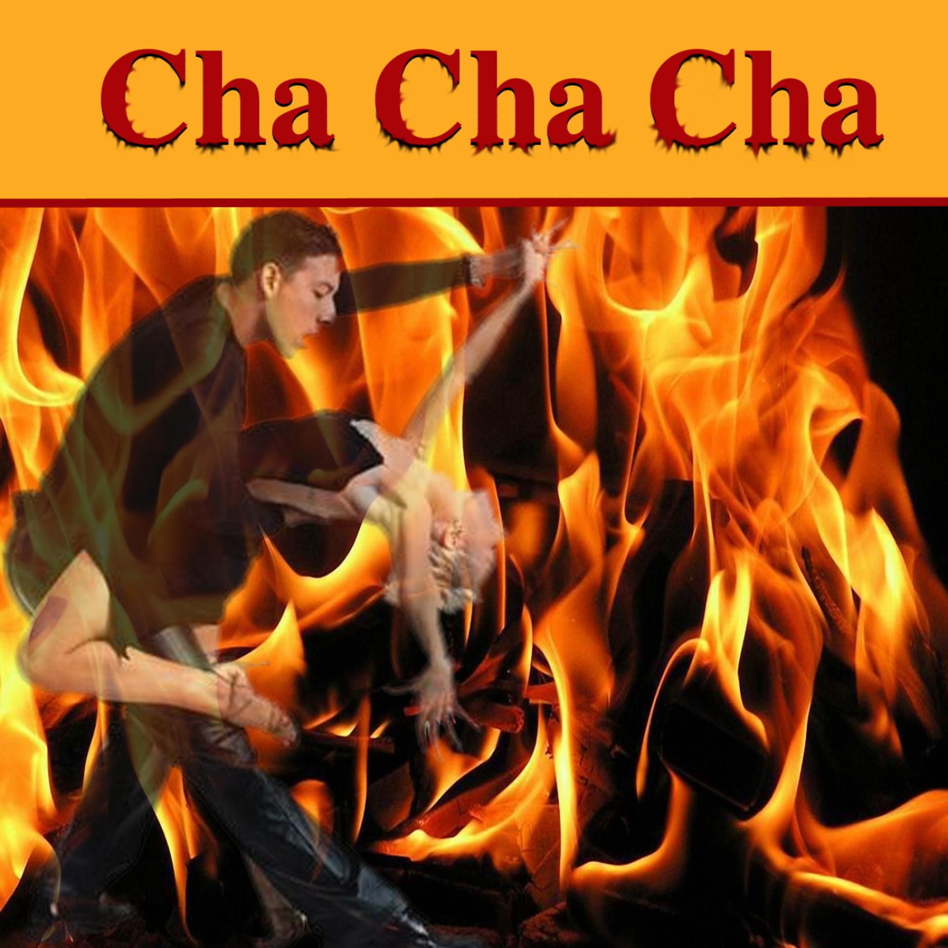 Постер альбома Cha Cha Cha