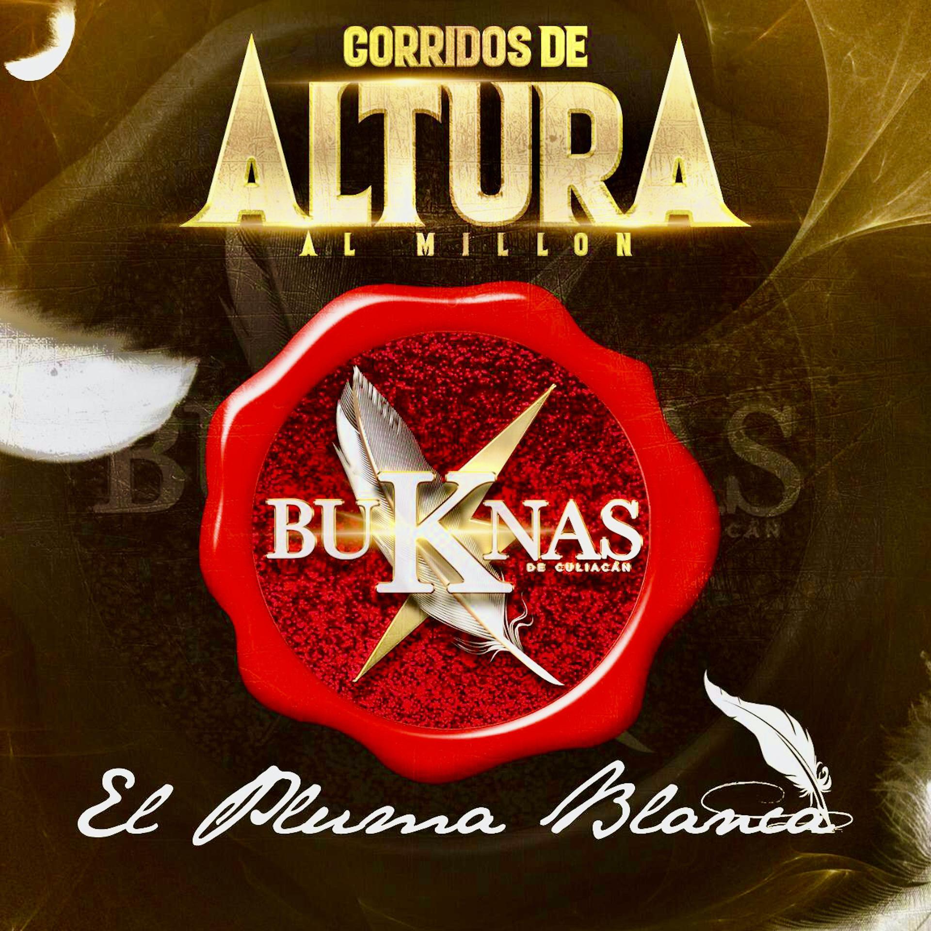 Постер альбома Corridos de Altura al Millón