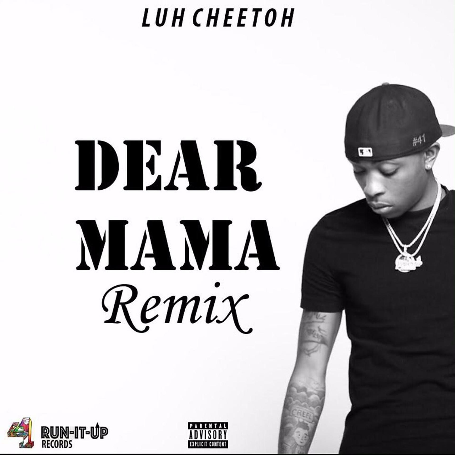 Постер альбома Dear Mama (Remix)