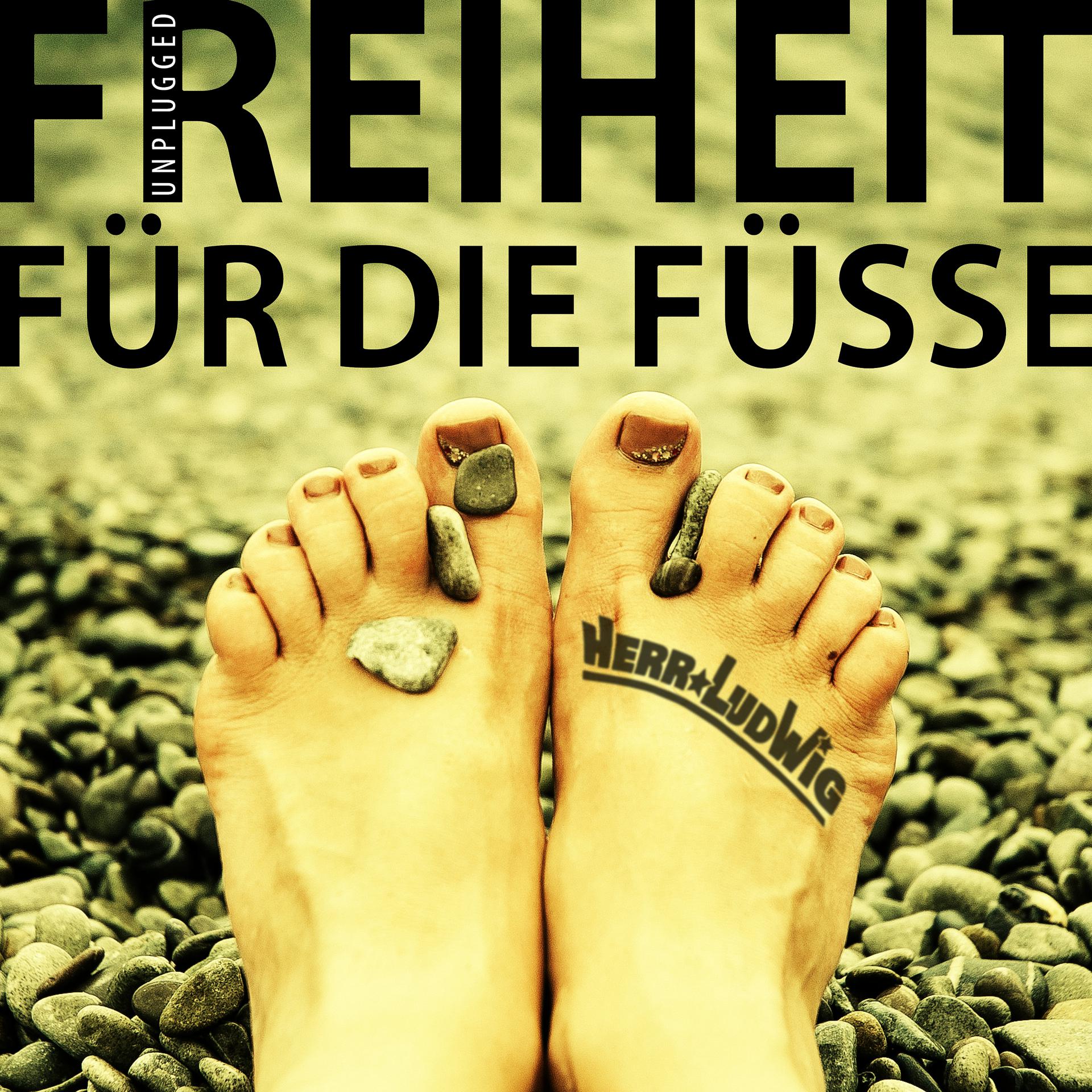 Постер альбома Freiheit für die Füße (Unplugged)