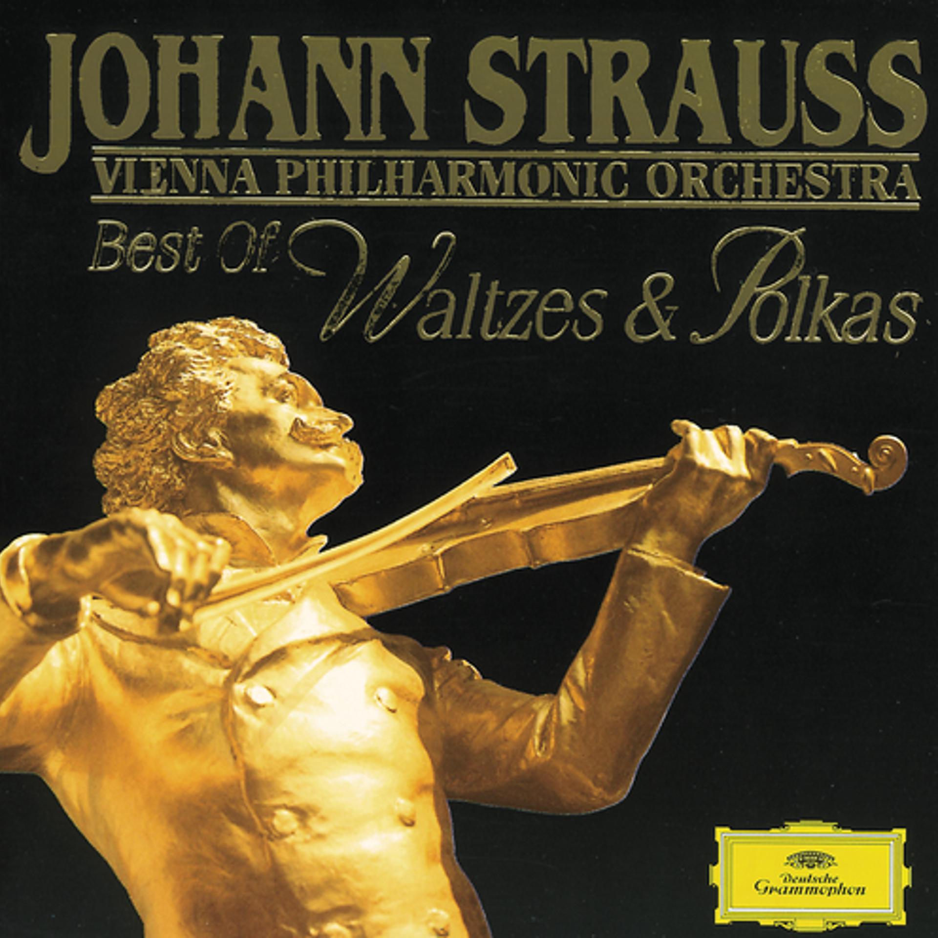 Постер альбома J. Strauss: Best of Waltzes & Polkas