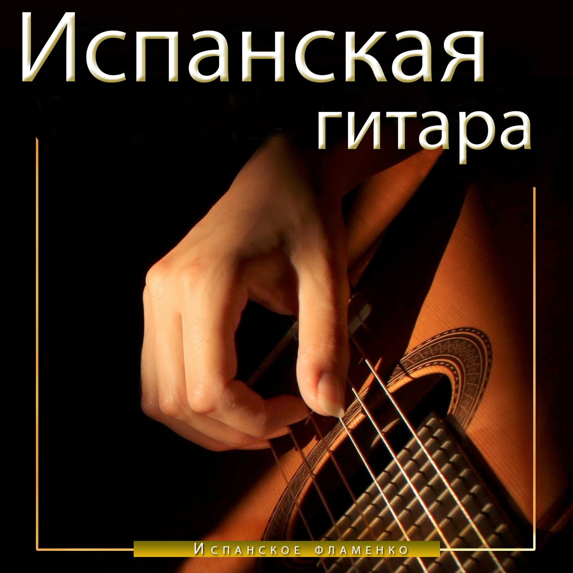 Постер альбома Испанская гитара. Испанское фламенко