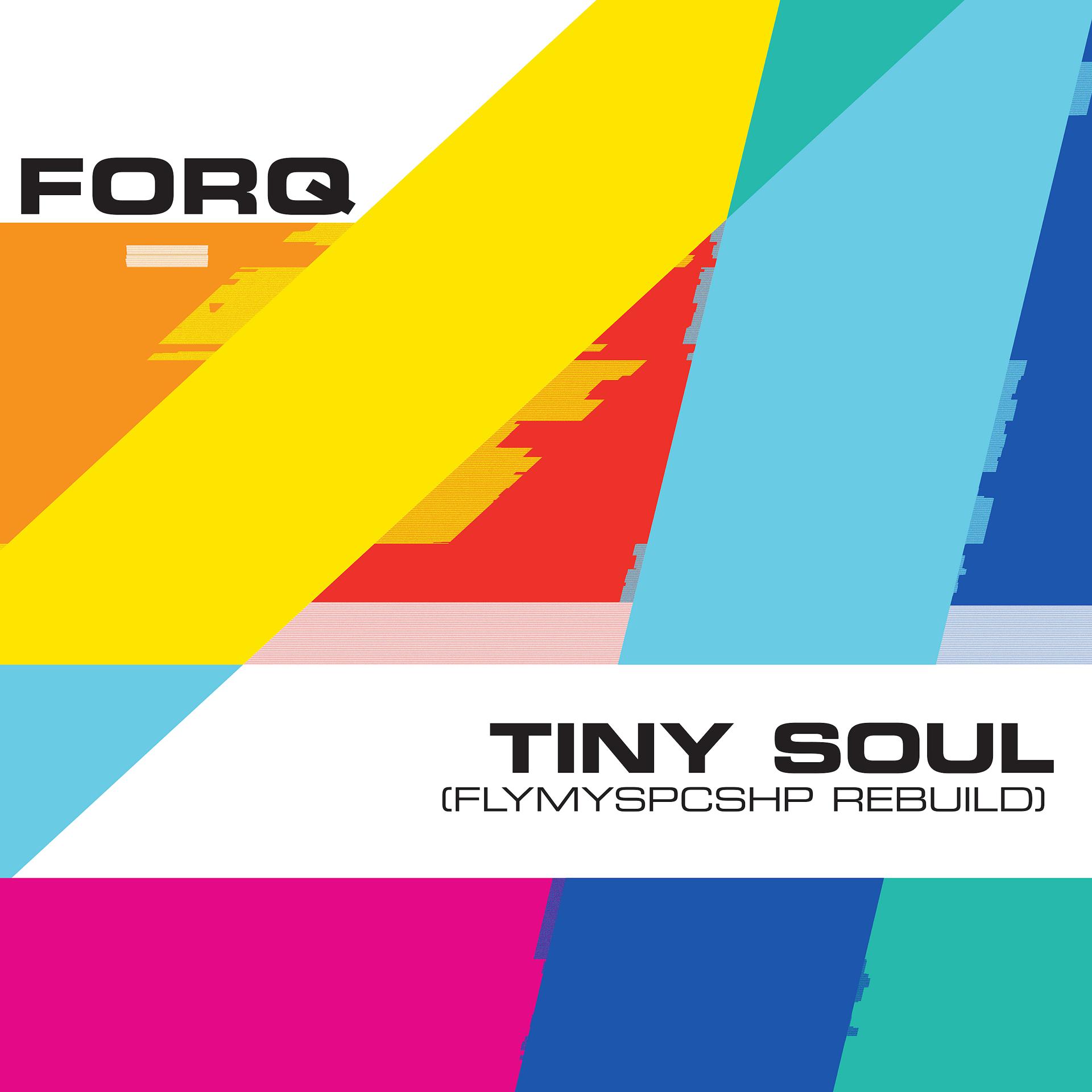 Постер альбома Tiny Soul (flymyspcshp rebuild)