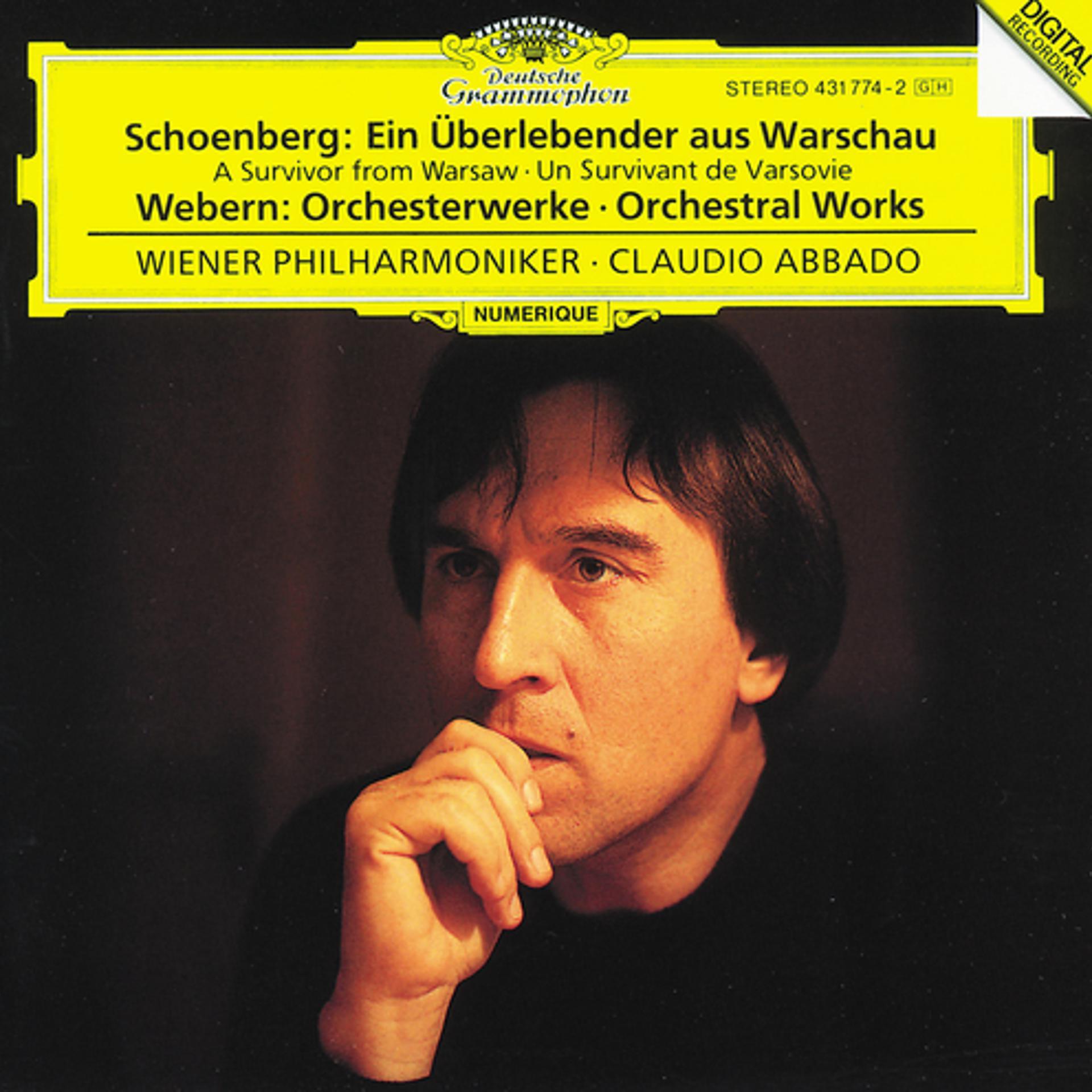 Постер альбома Schoenberg: A Survivor from Warsaw op.46 / Webern: Orchestral Works