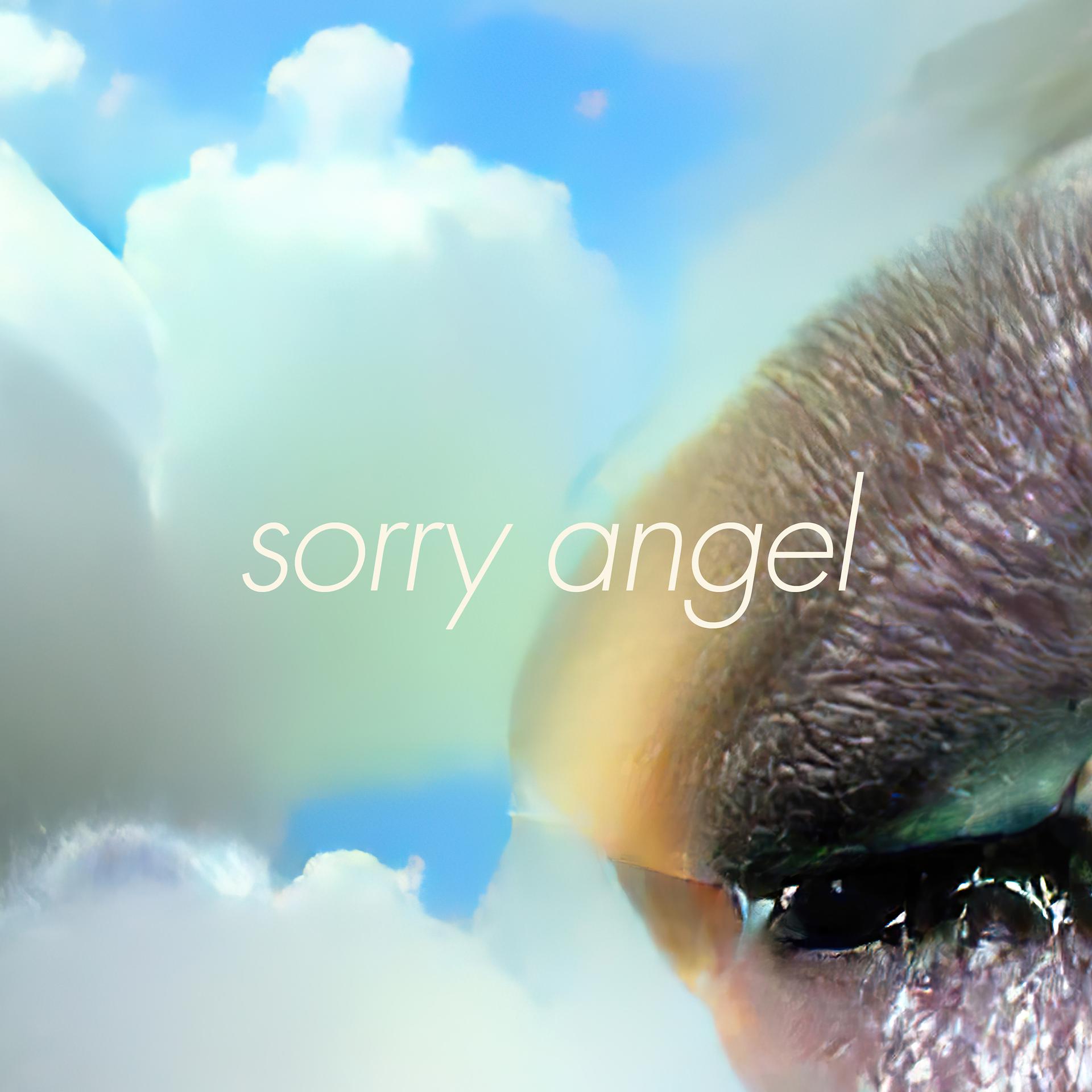 Постер альбома Sorry Angel