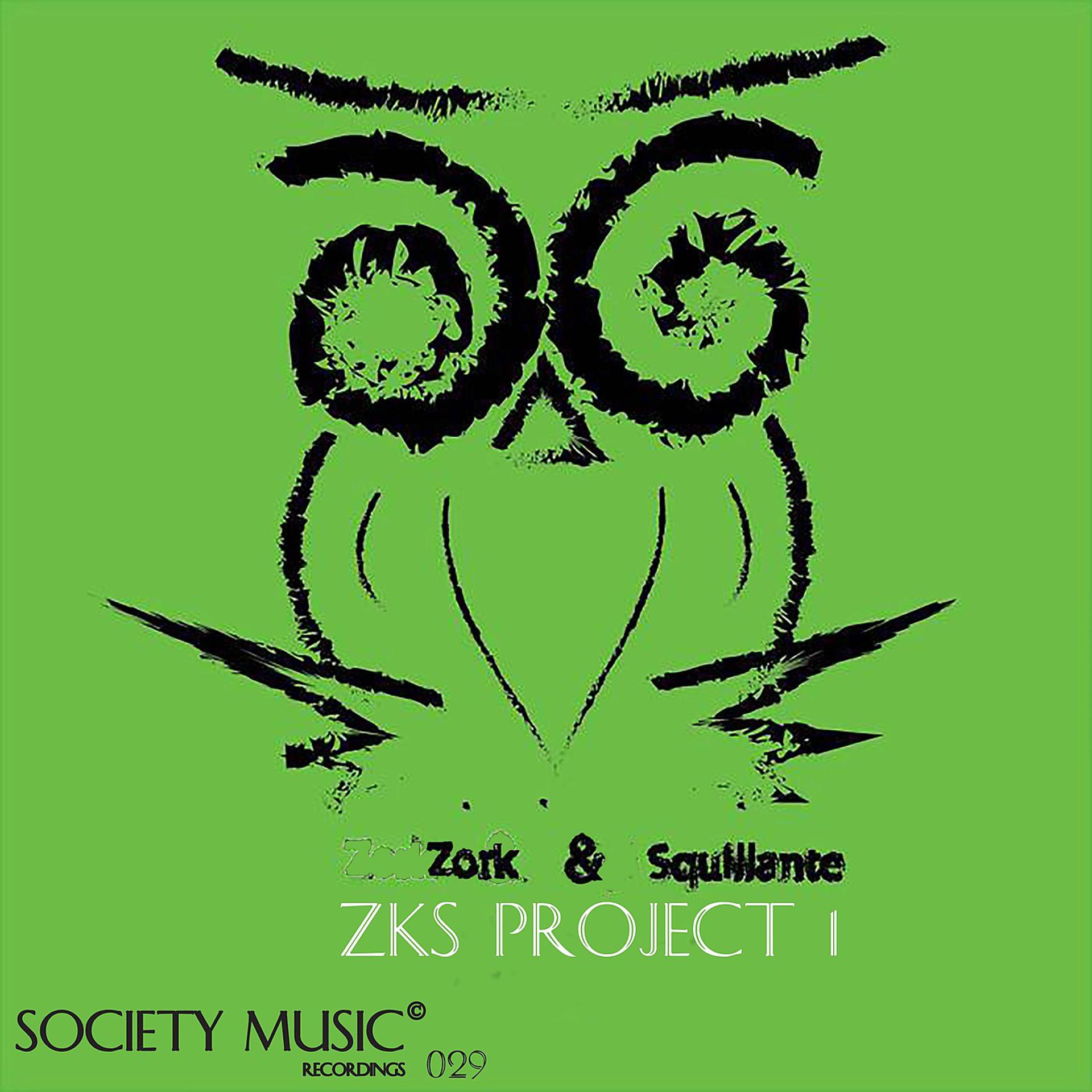 Постер альбома Zks Project 1